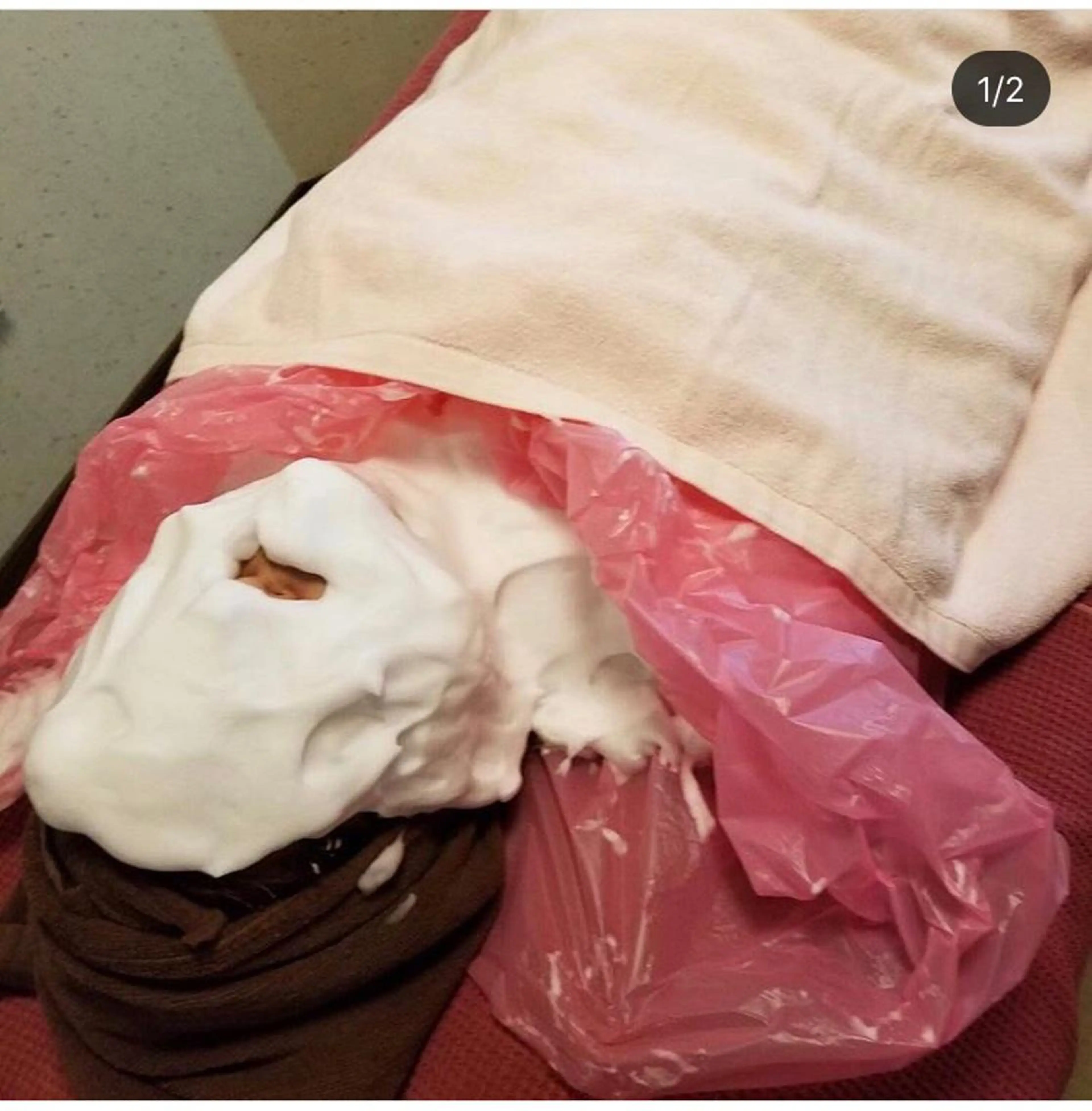 宇野澤 彩加のエステ・リラクイメージ