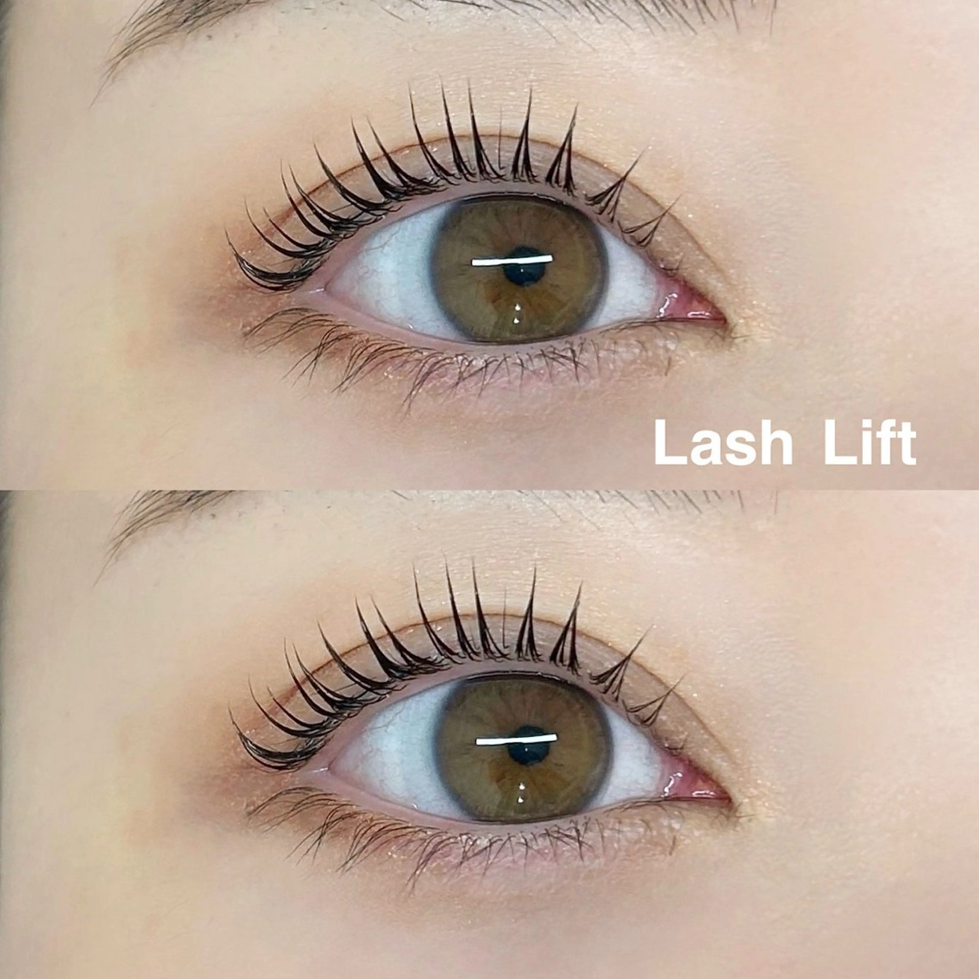 マツエク・マツパ ナチュラル 一重×まつ毛パーマ まつパ/マツエク/ 渋谷momokaのマツエク・マツパデザイン