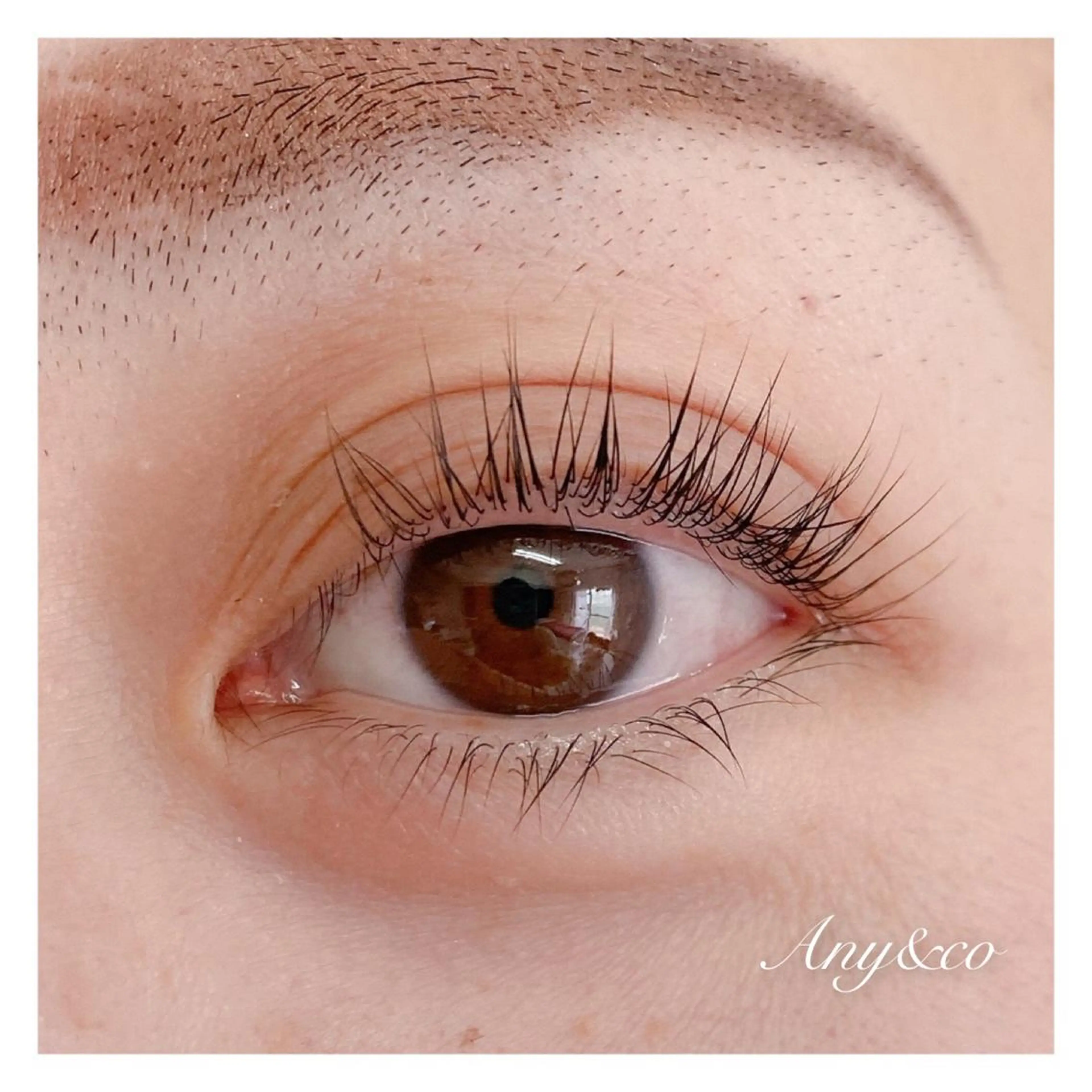 マツエク・マツパ アイリッドアップパーマ Any&co 【エニコ】のマツエク・マツパデザイン