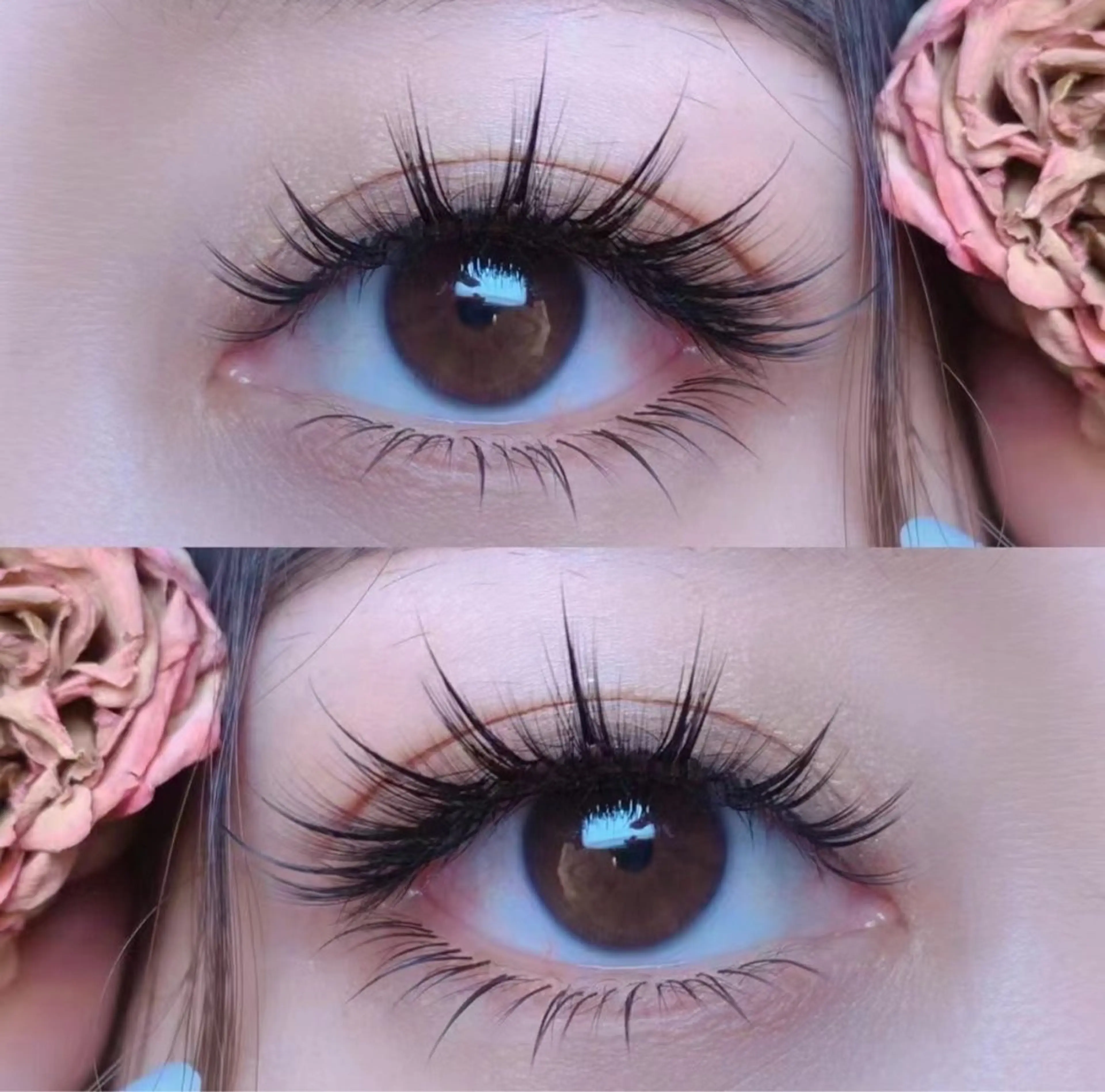 マツエク・マツパ マツエク arana eyelashのマツエク・マツパデザイン