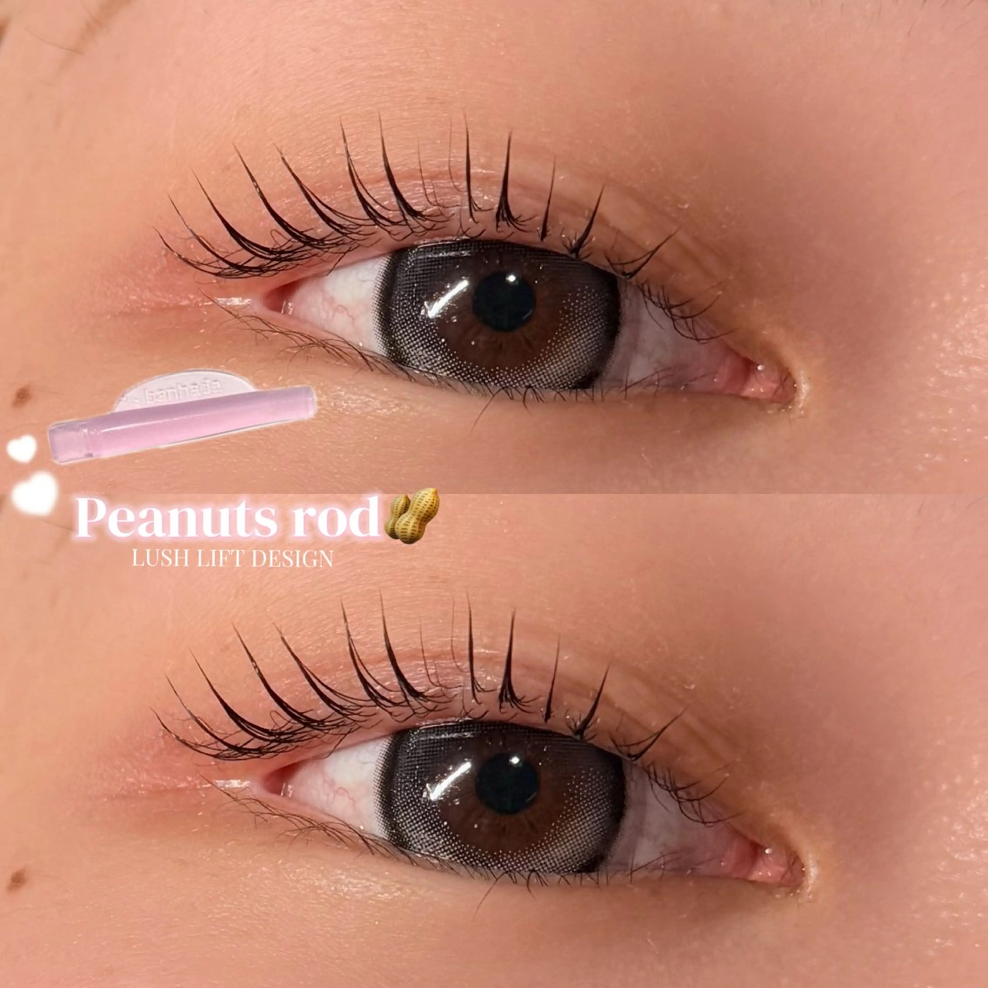 マツエク・マツパ 一重×まつ毛パーマ マツパ 大 越のマツエク・マツパデザイン