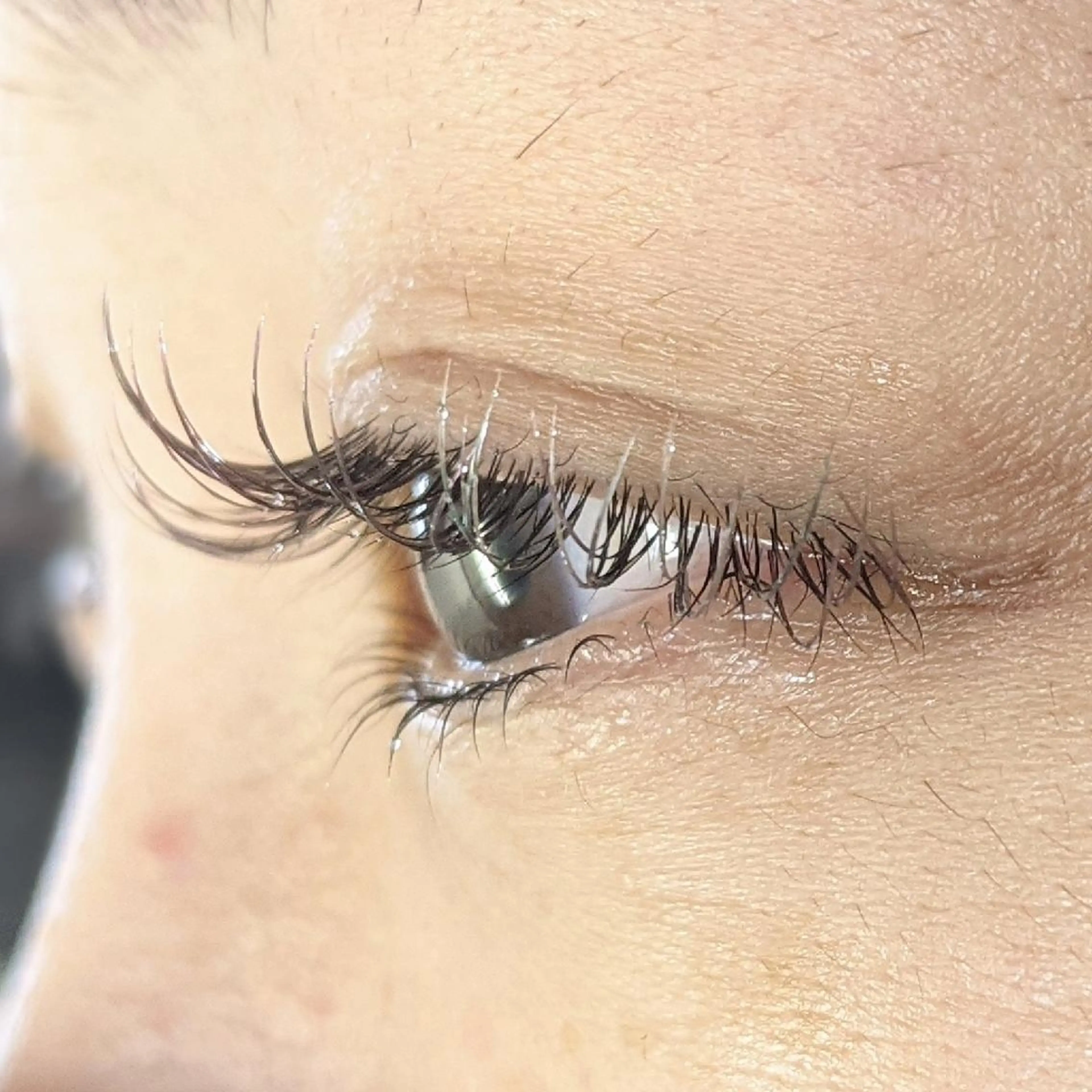 マツエク・マツパ カラーマツエク 藤中 満里奈の眉毛・アイブロウイメージ