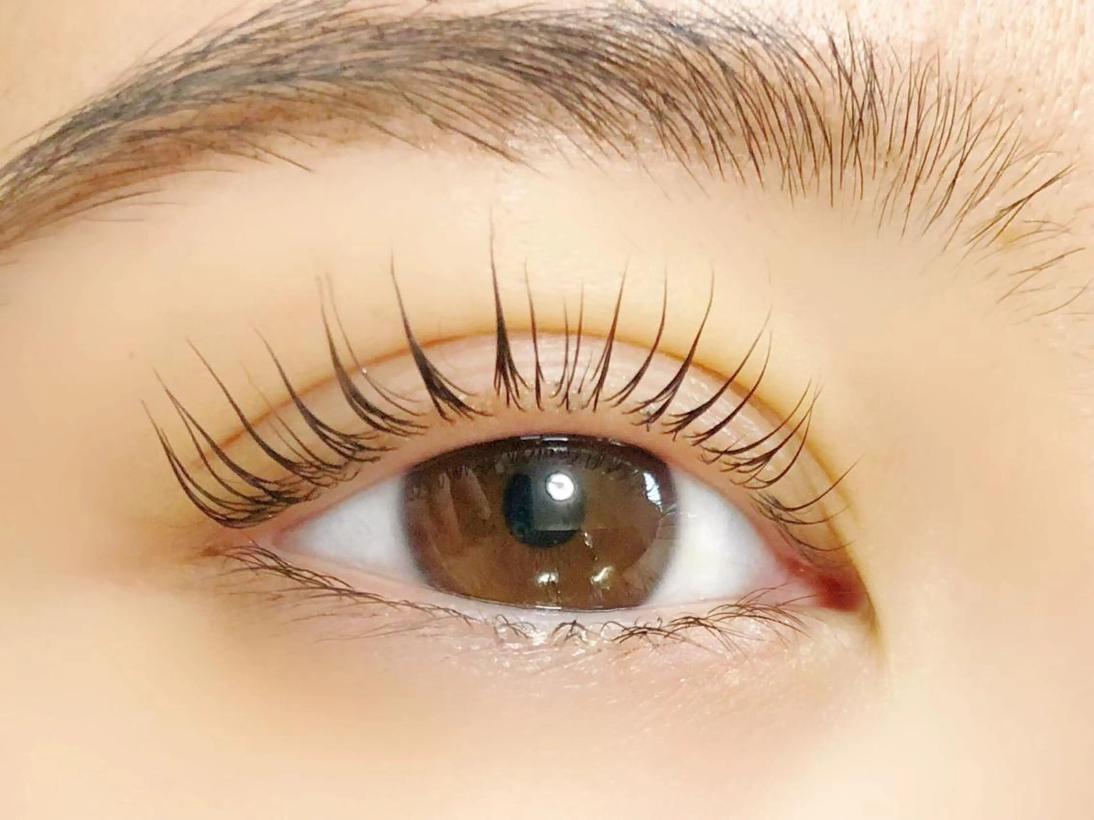 マツエク・マツパ 一重×まつ毛パーマ マツパ RAZZLE DAZZLEのマツエク・マツパデザイン