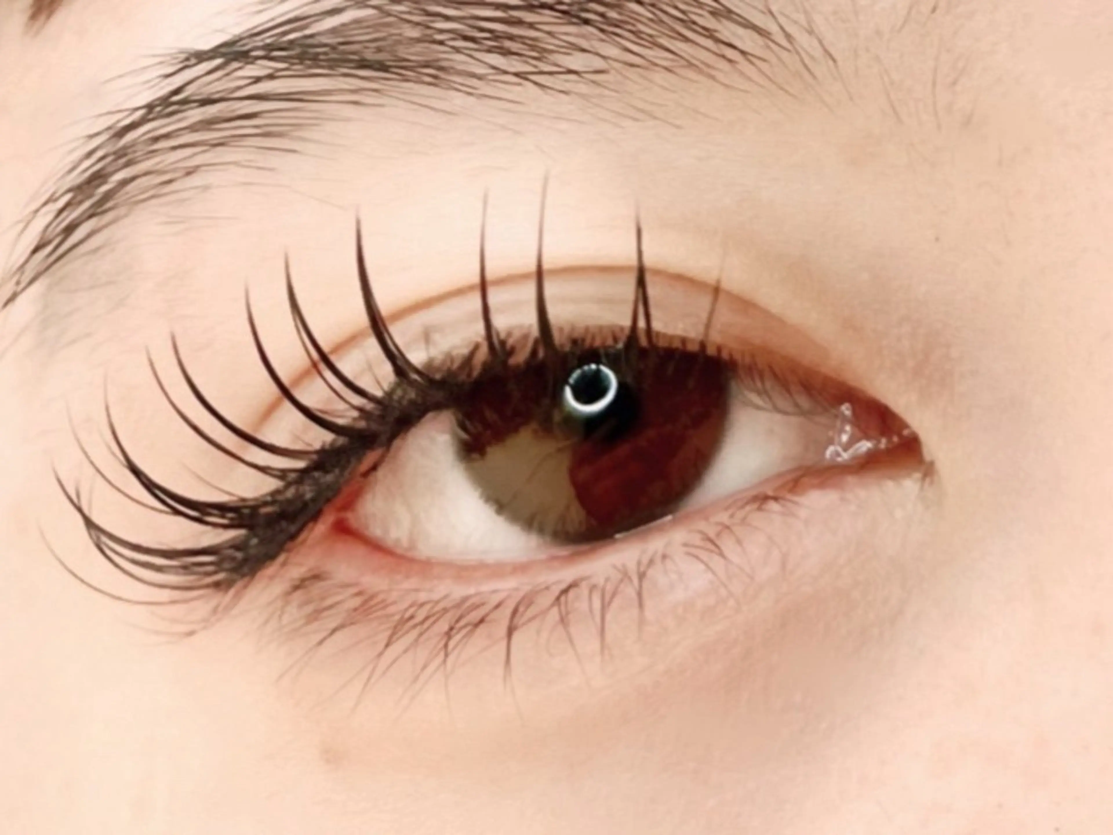 最高品質セーブルフラット120本束感コーティング付き★シングルオフ無料の写真