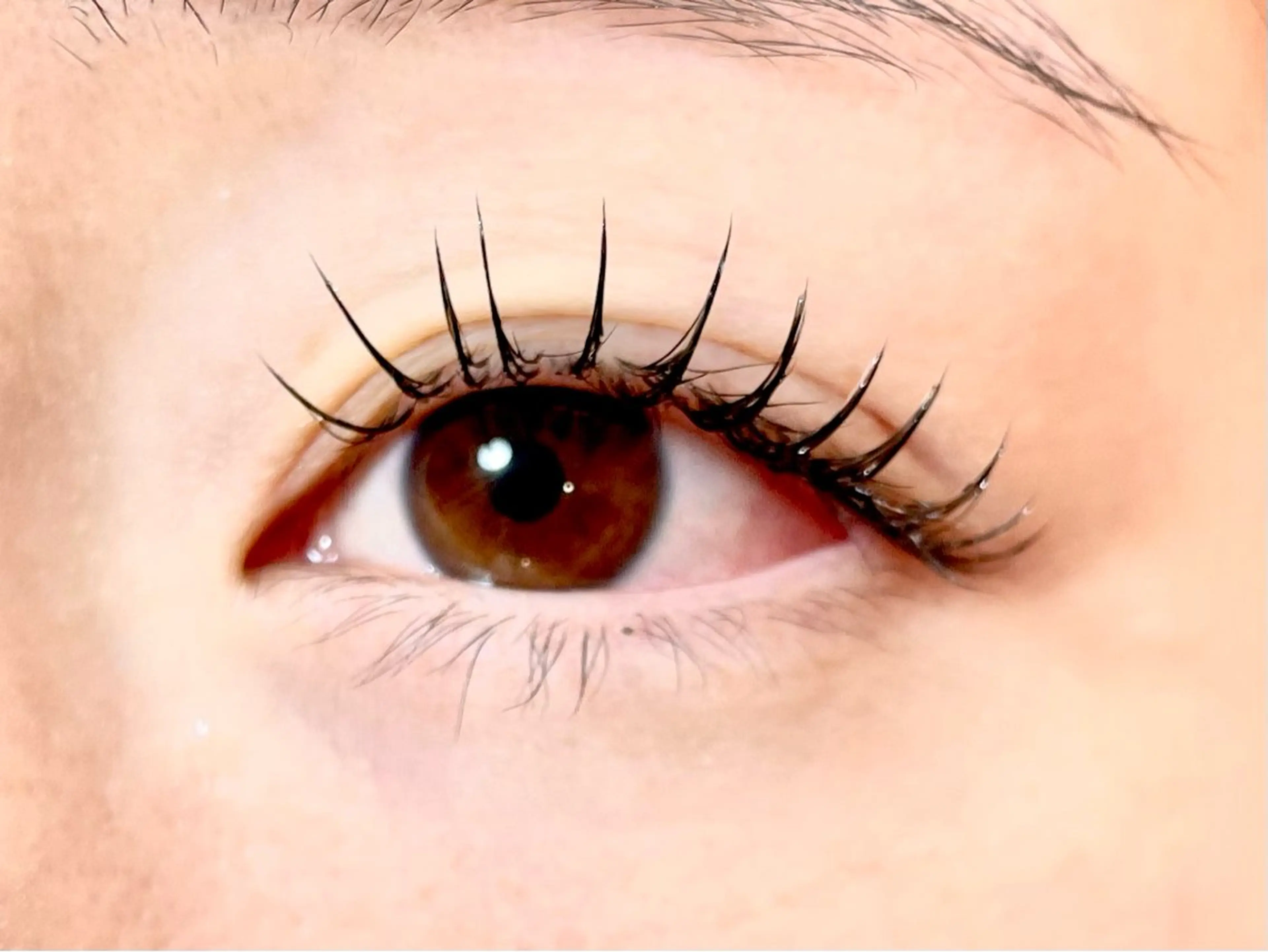 🥀ミニモ限定ラッシュリフト(パリジェンヌ含)+保湿トリートメントの写真