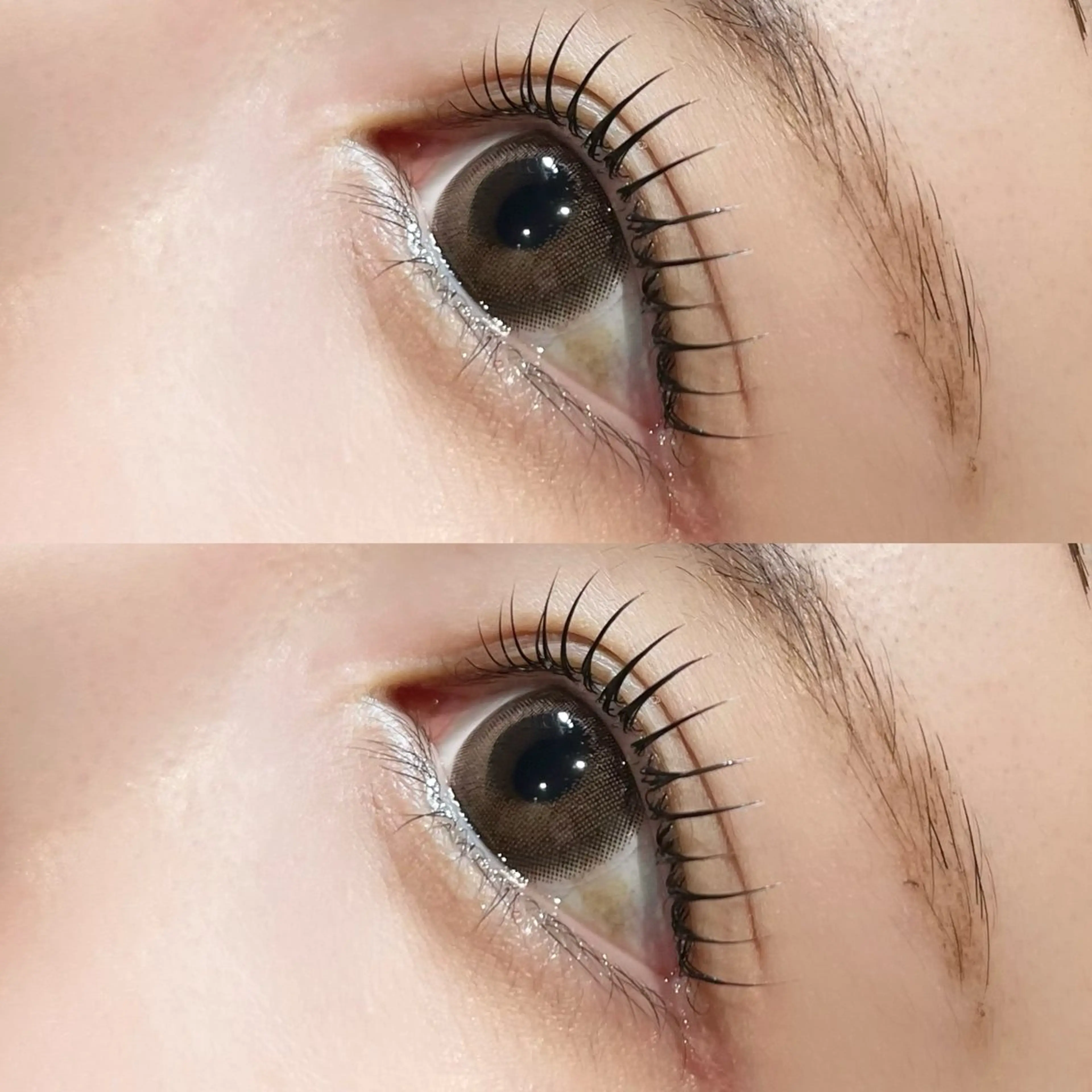 マツエク・マツパ 𝒆𝒊𝒈𝒉𝒕 杏花のマツエク・マツパデザイン