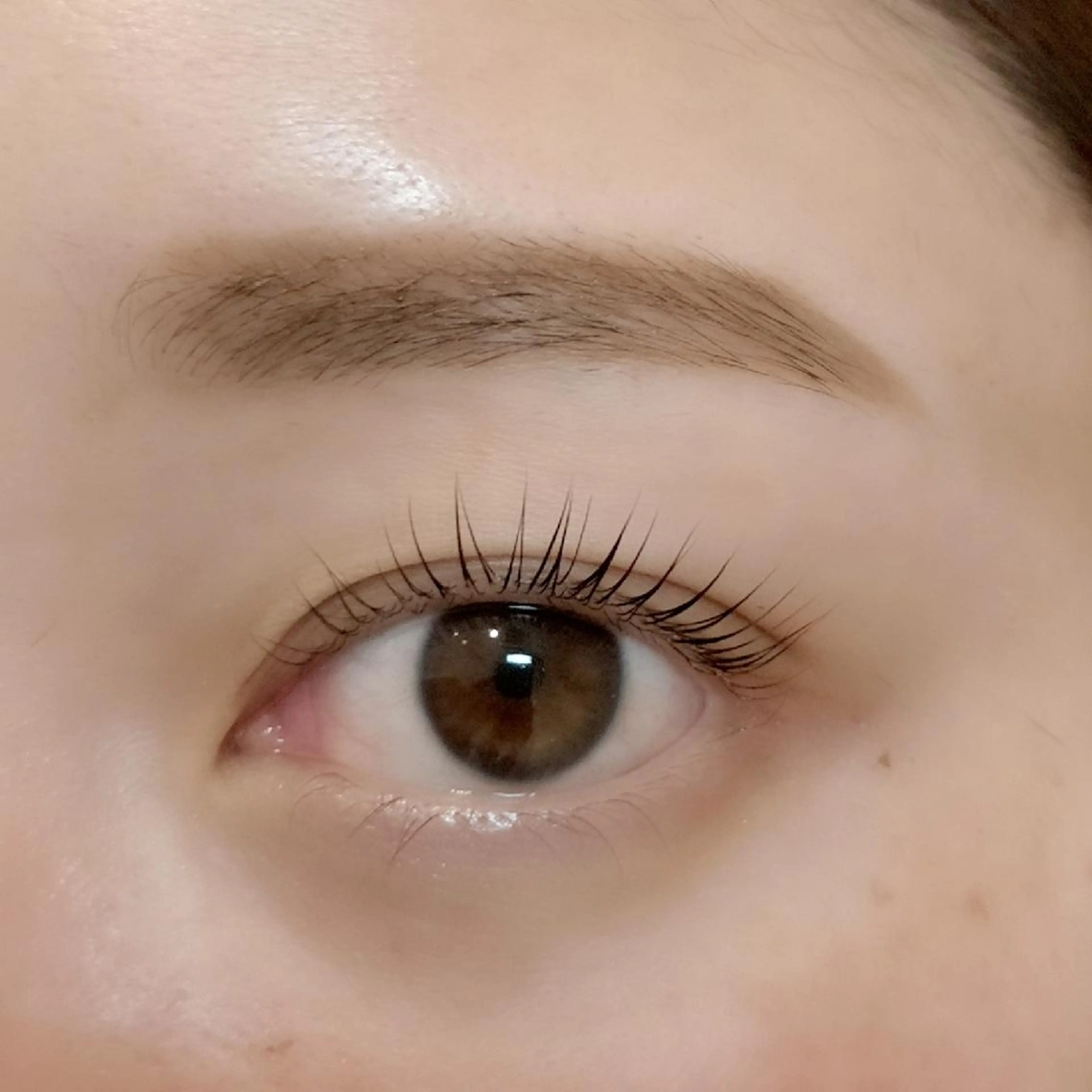 🈹アイブロウWAX脱毛✨メイク込みの写真