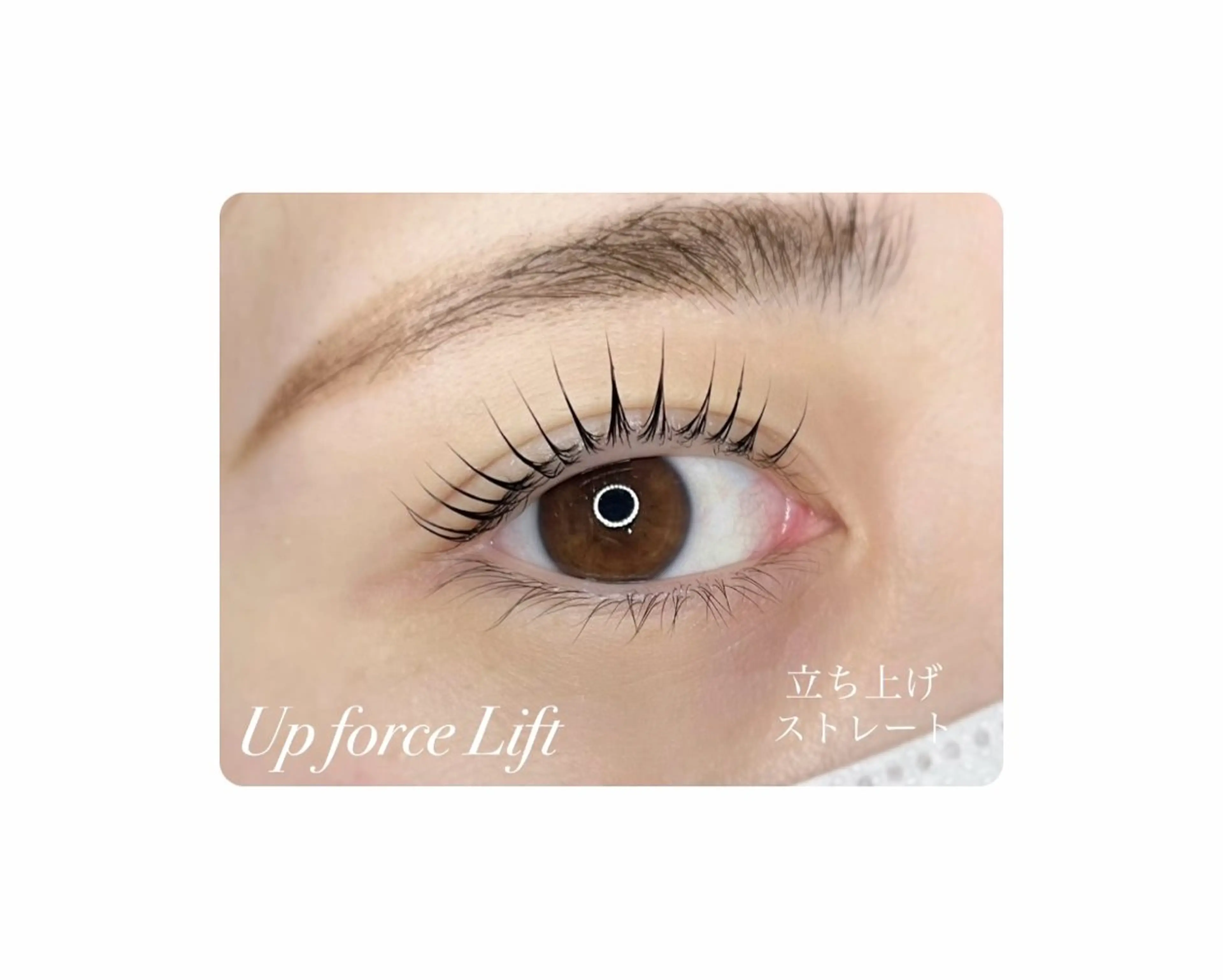 マツエク・マツパ 🤍下村 絢香🤍のマツエク・マツパデザイン