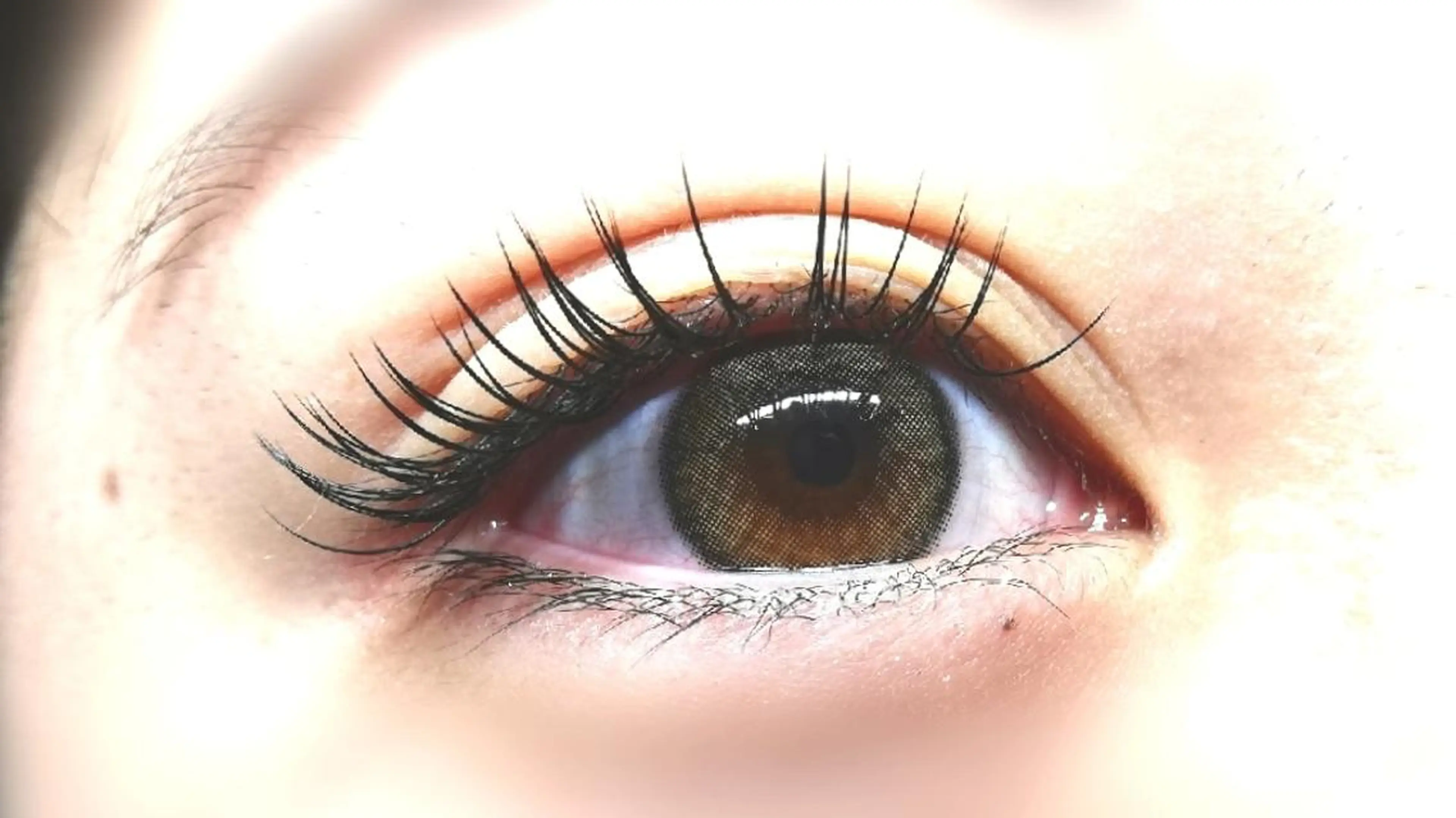 🪻セーブルシングルラッシュ120本＋オフサービス＋美容液コーティング仕上げ🪻の写真