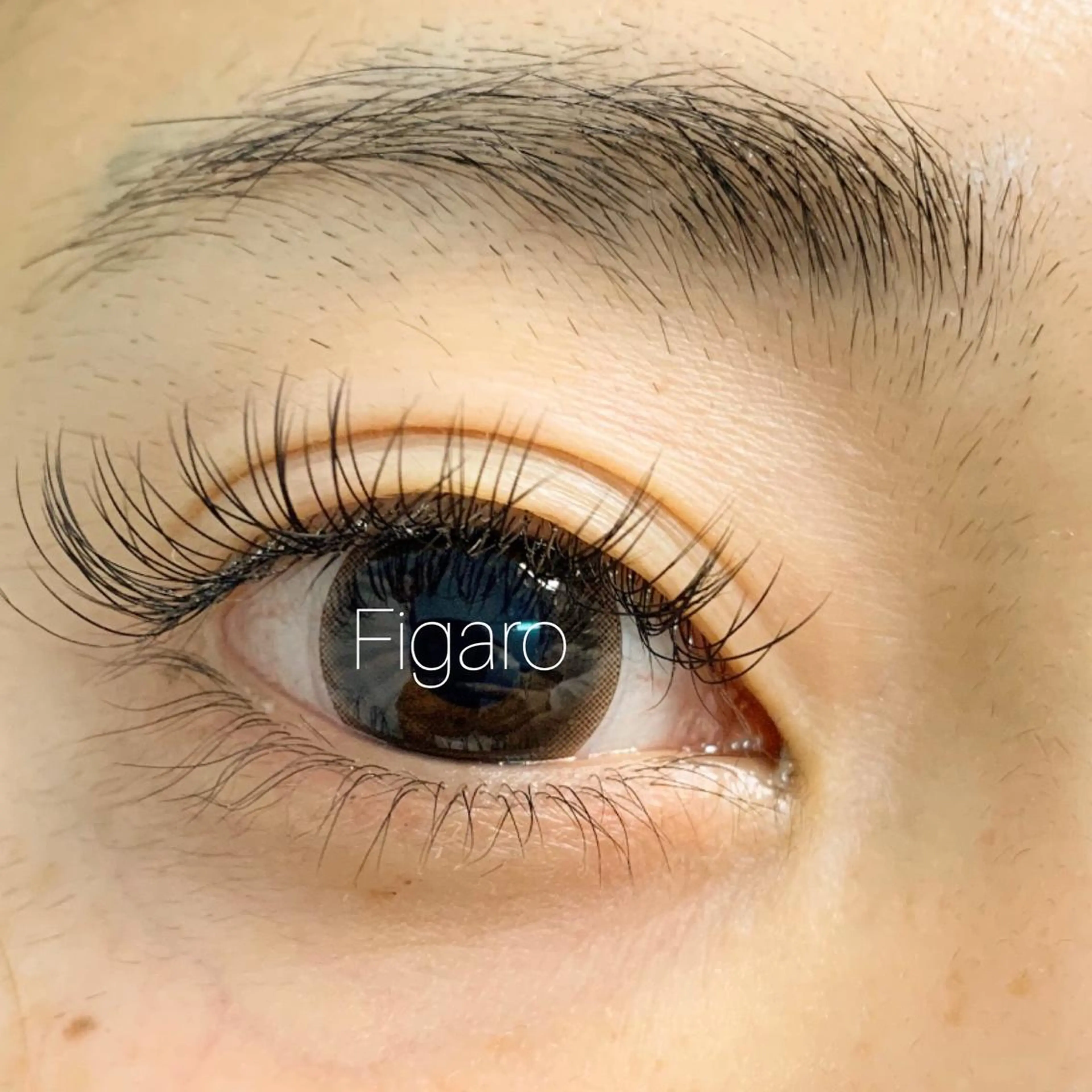 マツエク・マツパ Cカール フラットラッシュ Fumina .のネイルデザイン