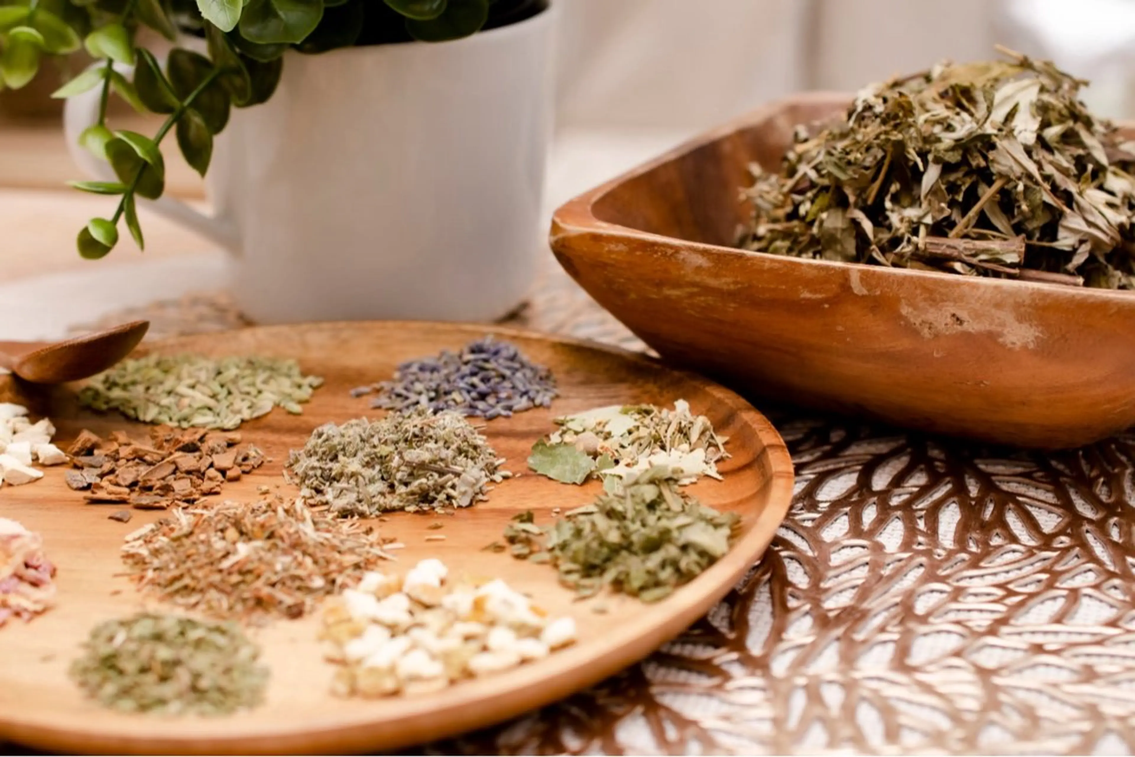 よもぎ蒸しの写真