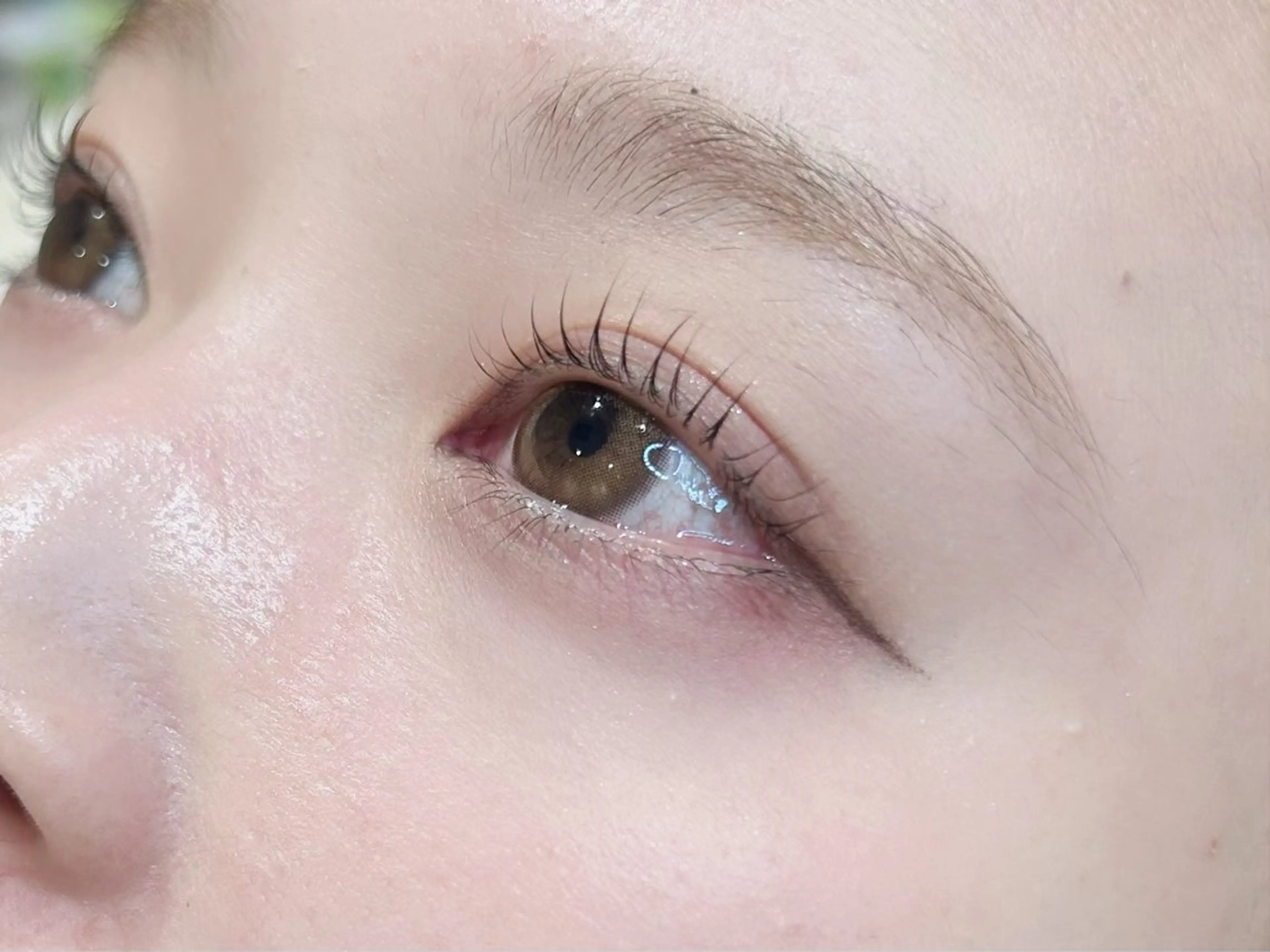 【初回限定】パリジェンヌラッシュリフト＋コーティング仕上げ🫧の写真