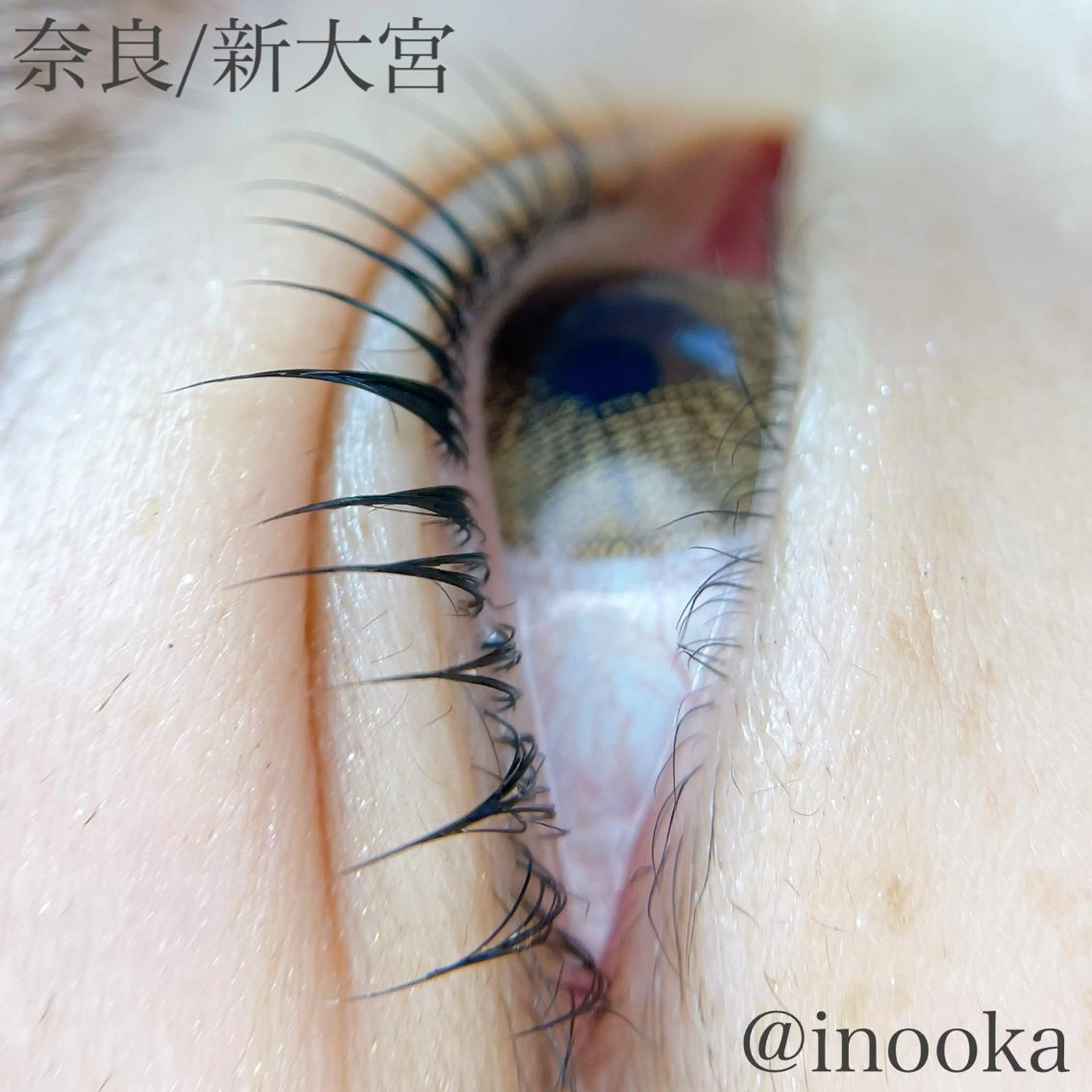 マツエク・マツパ JAM新大宮 eyelashのマツエク・マツパデザイン