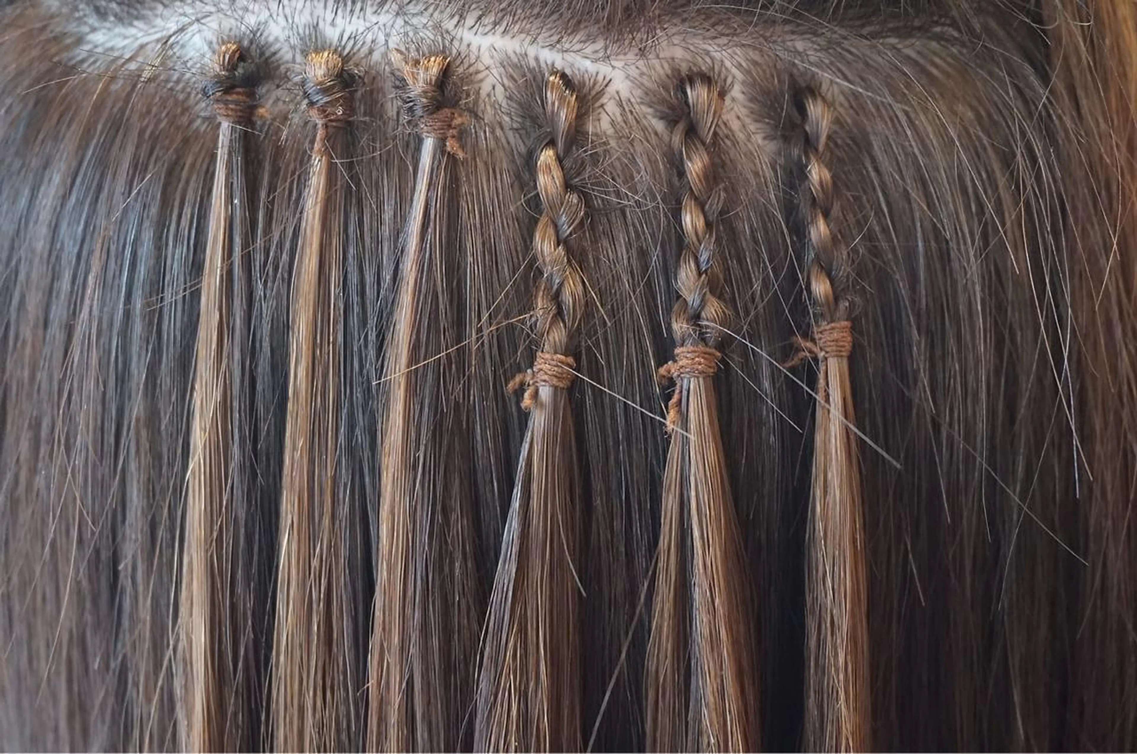 ショート Orque deux 伊藤丈晴のヘアスタイル