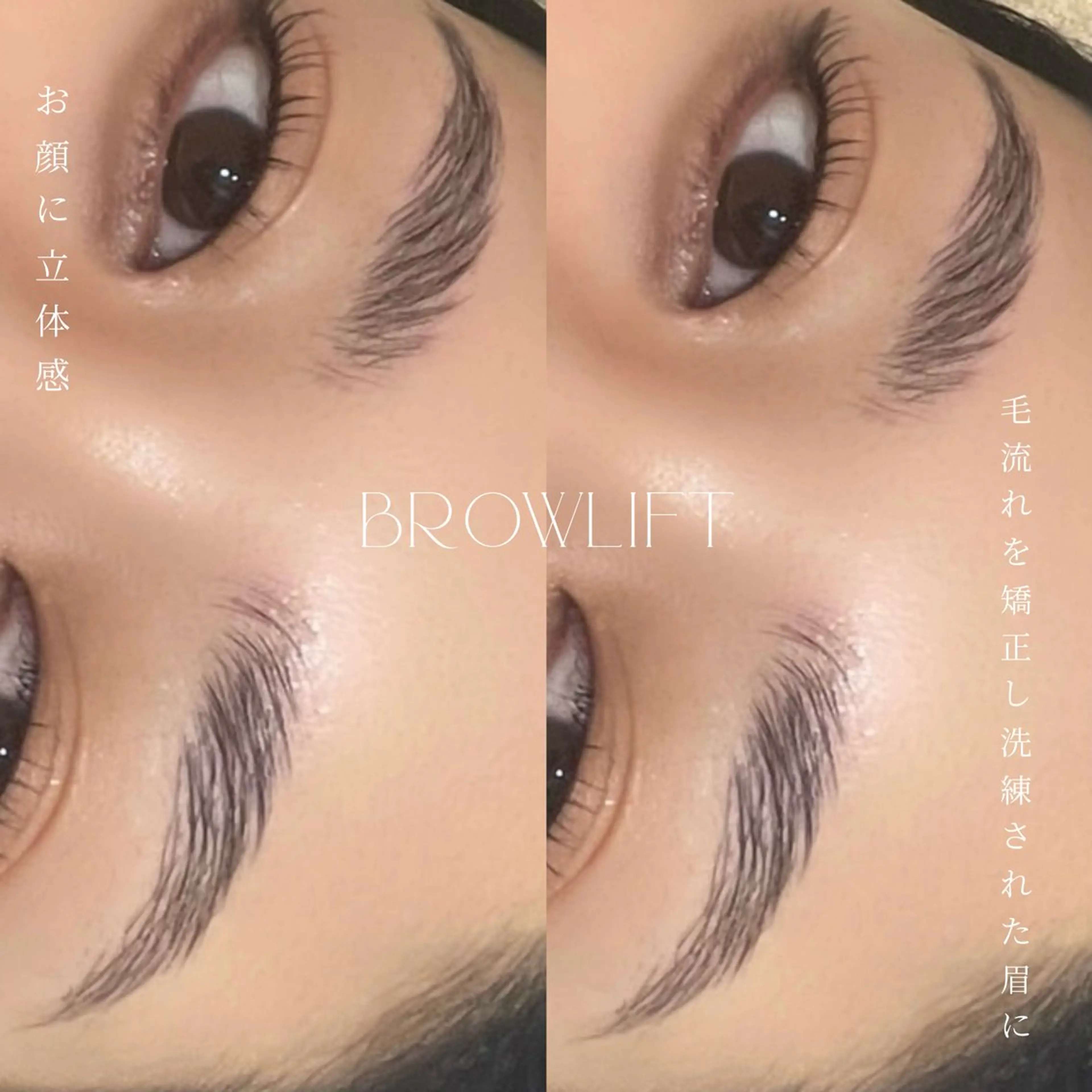 ブロウリフト(毛流れ補正)+ワックス脱毛🎪(土日祝+550円)の写真