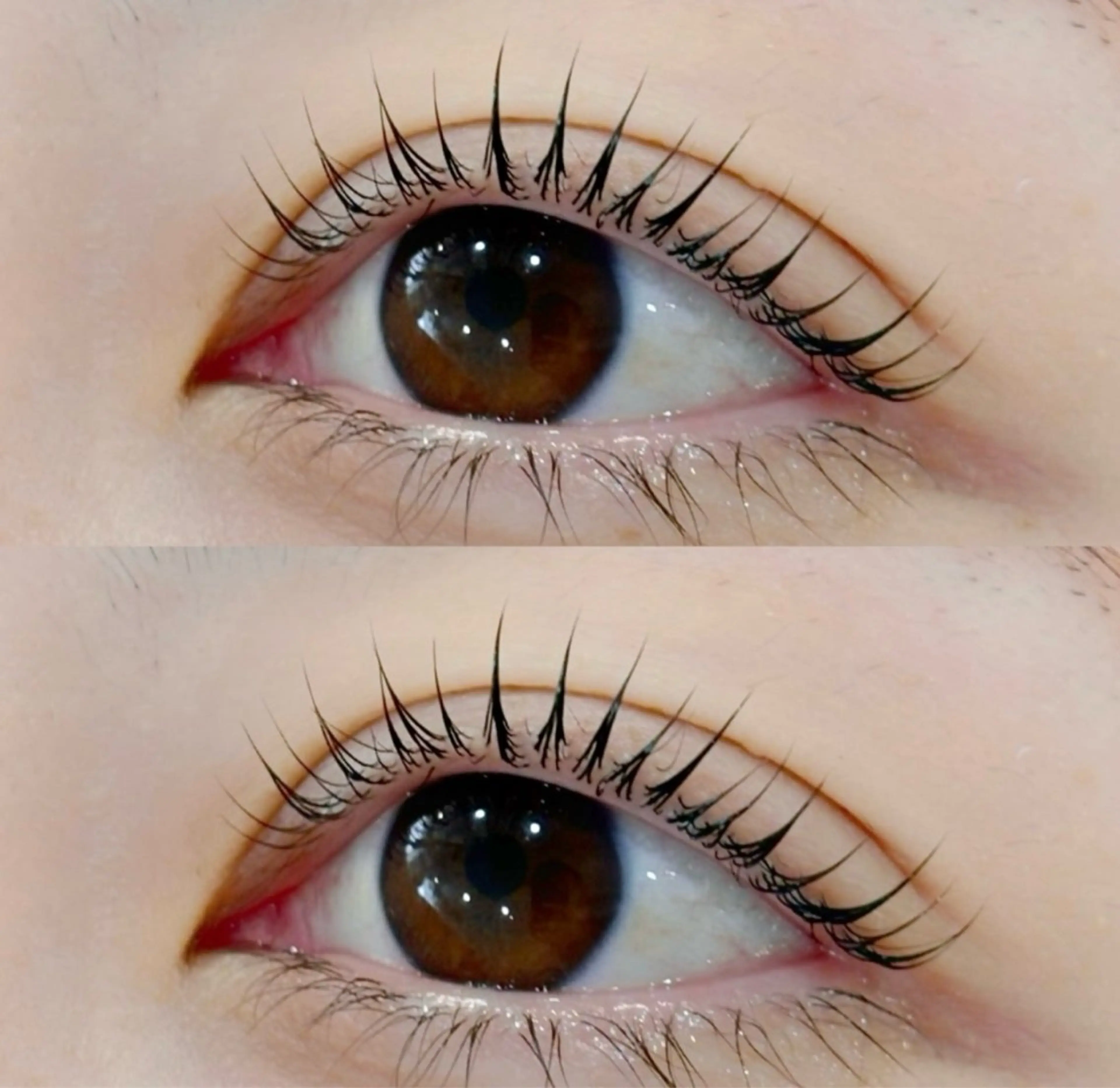 マツエク・マツパ 束感まつ毛 韓国風マツエク パリジェンヌラッシュリフト マツパ パリジェンヌ マツエク専門店 玲子のマツエク・マツパデザイン