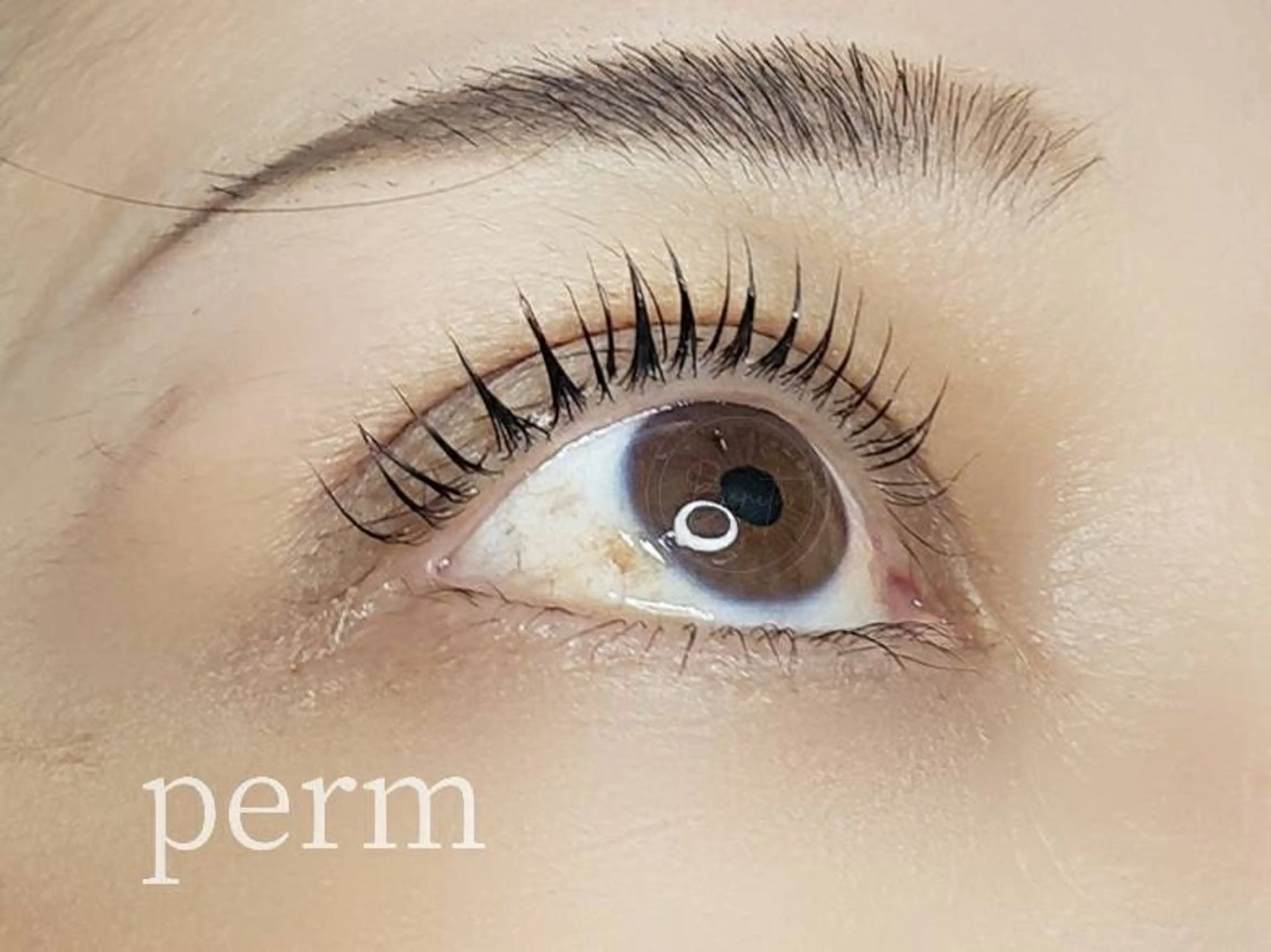 マツエク・マツパ 一重×まつ毛パーマ 山本 マツゲのマツエク・マツパデザイン