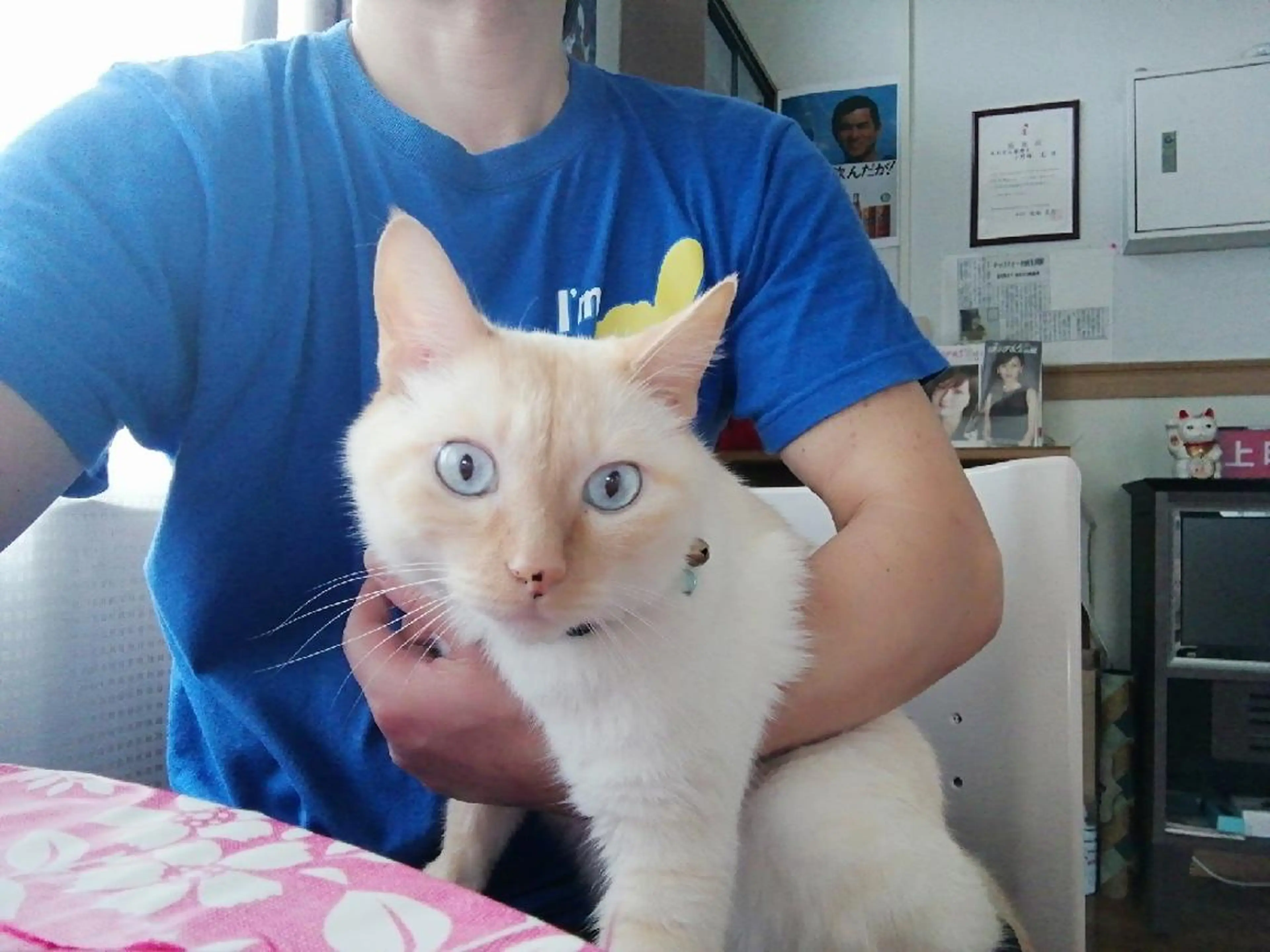 小野塚 充のエステ・リラクイメージ