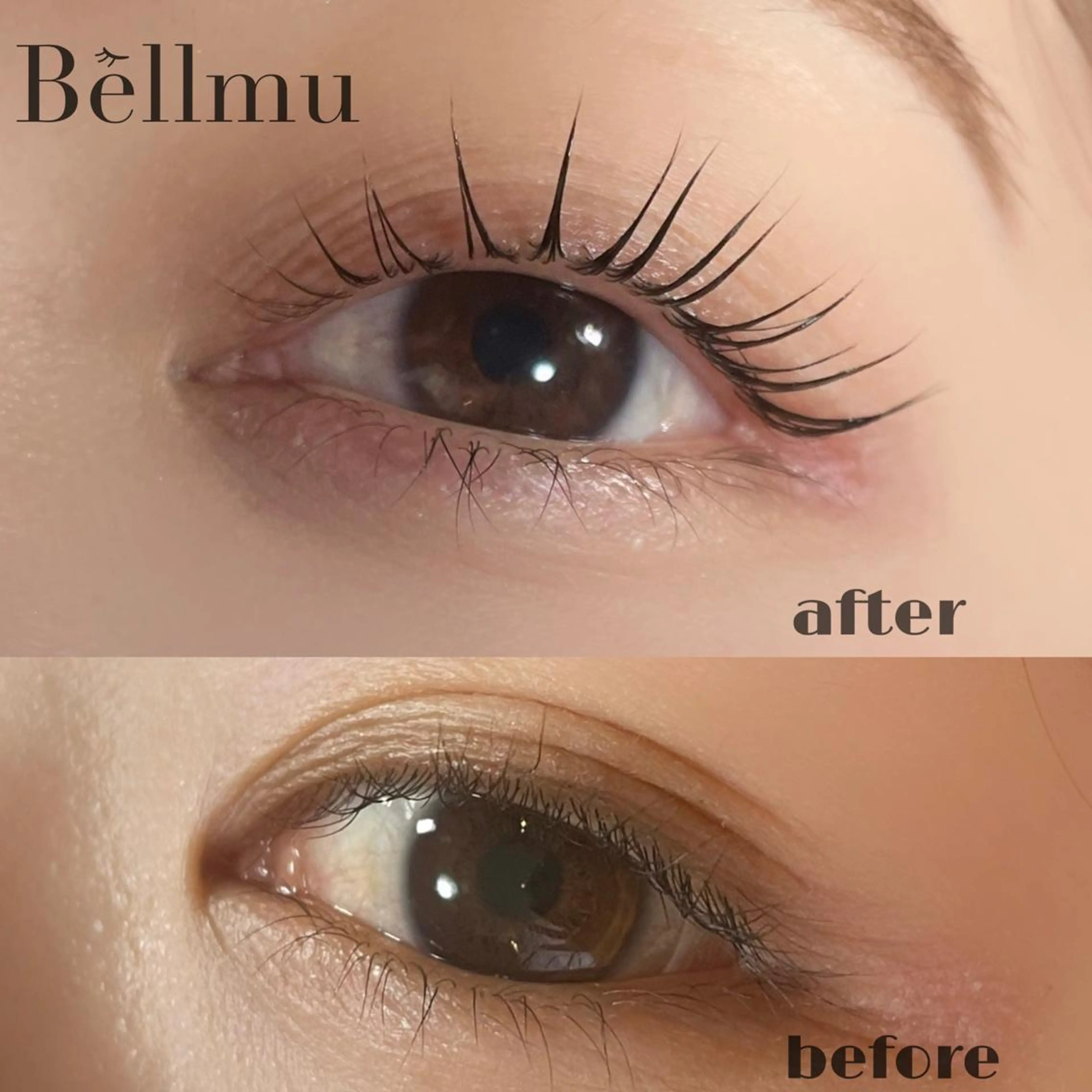 マツエク・マツパ 💈Bèllmu/ なんば/心斎橋❣️のマツエク・マツパデザイン