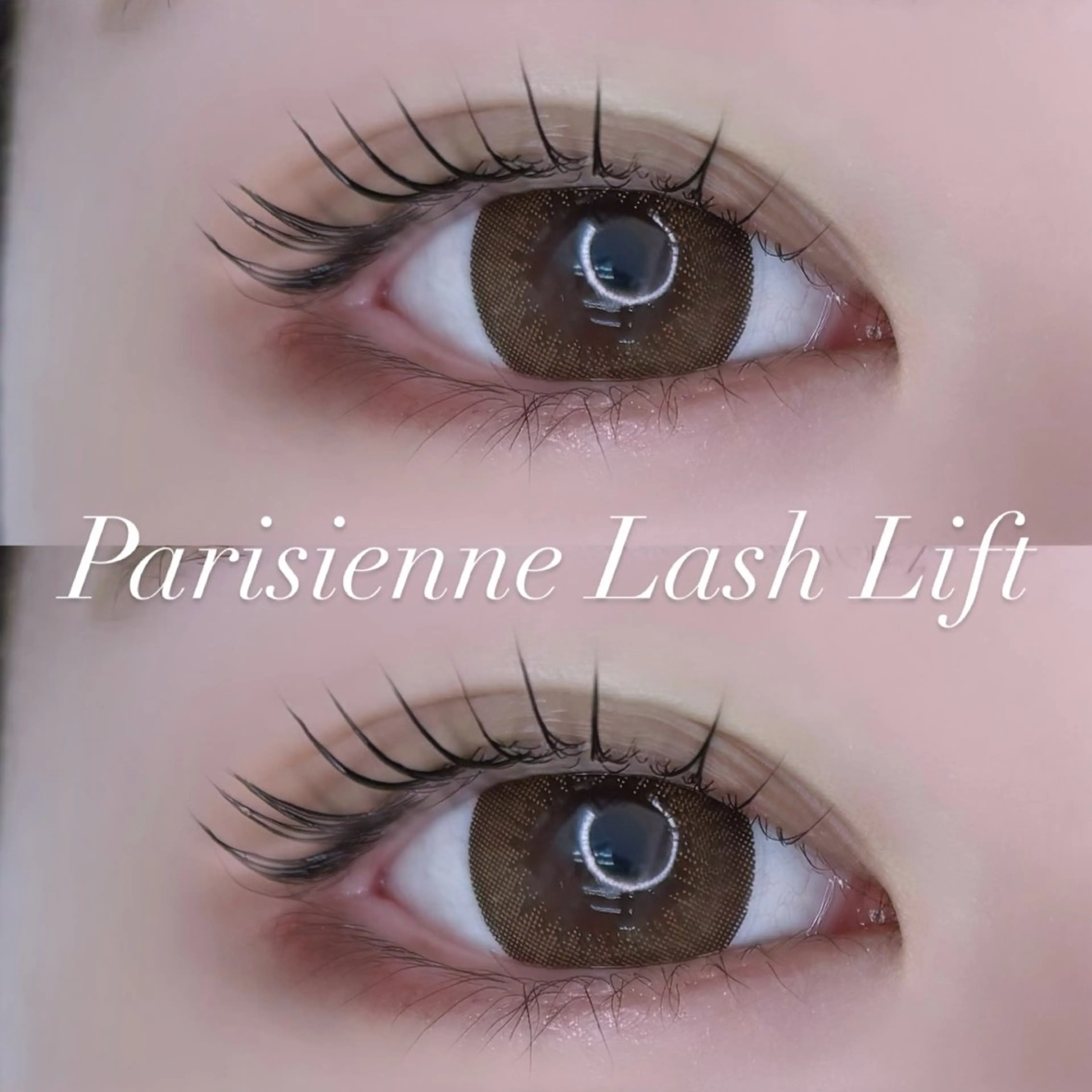 マツエク・マツパ パリジェンヌラッシュリフト IVY-NUE HITOMIのマツエク・マツパデザイン