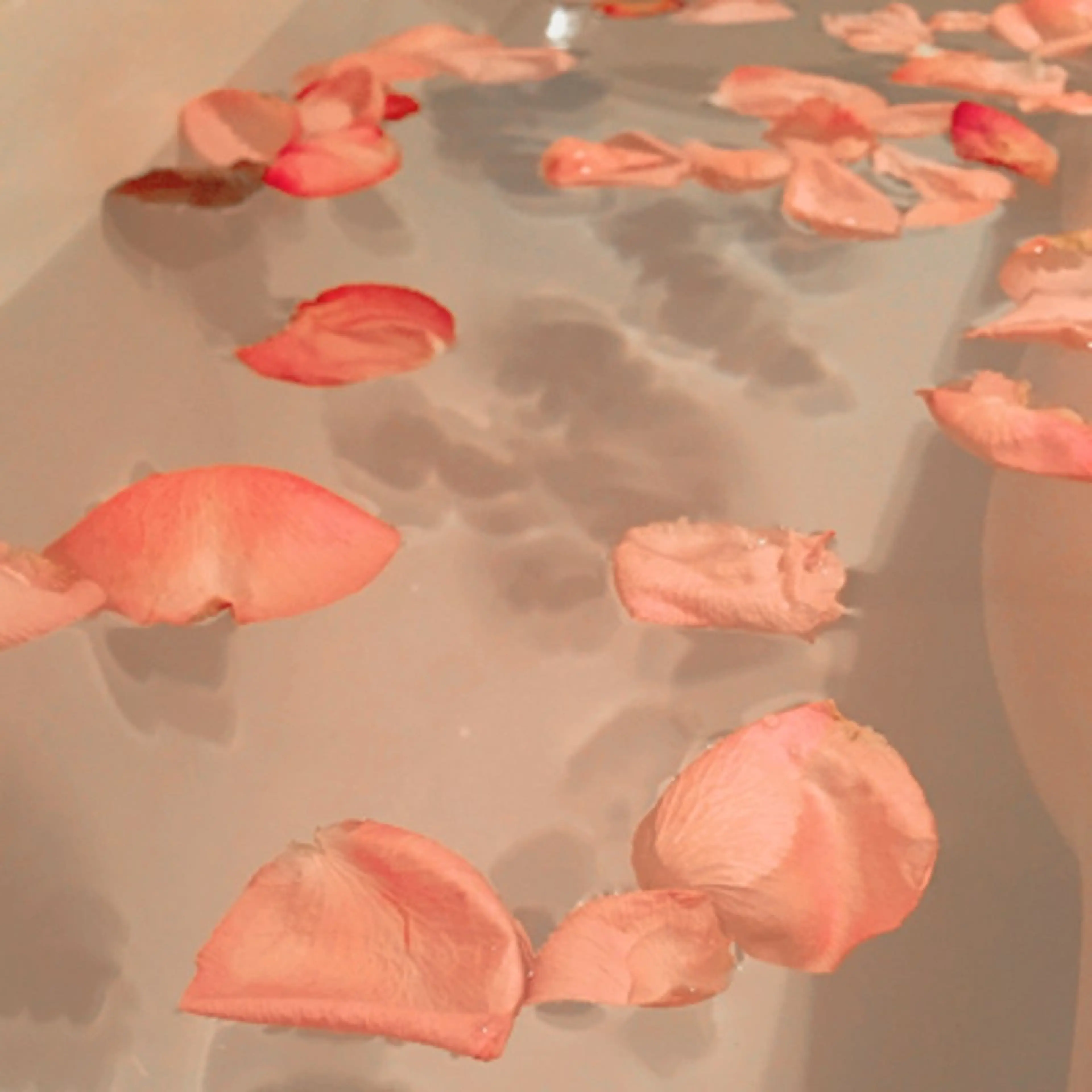 ãããšã¯ã»ããã Yuna ãŠãŠãã®ãããšã¯ã»ããããã¶ã€ã³