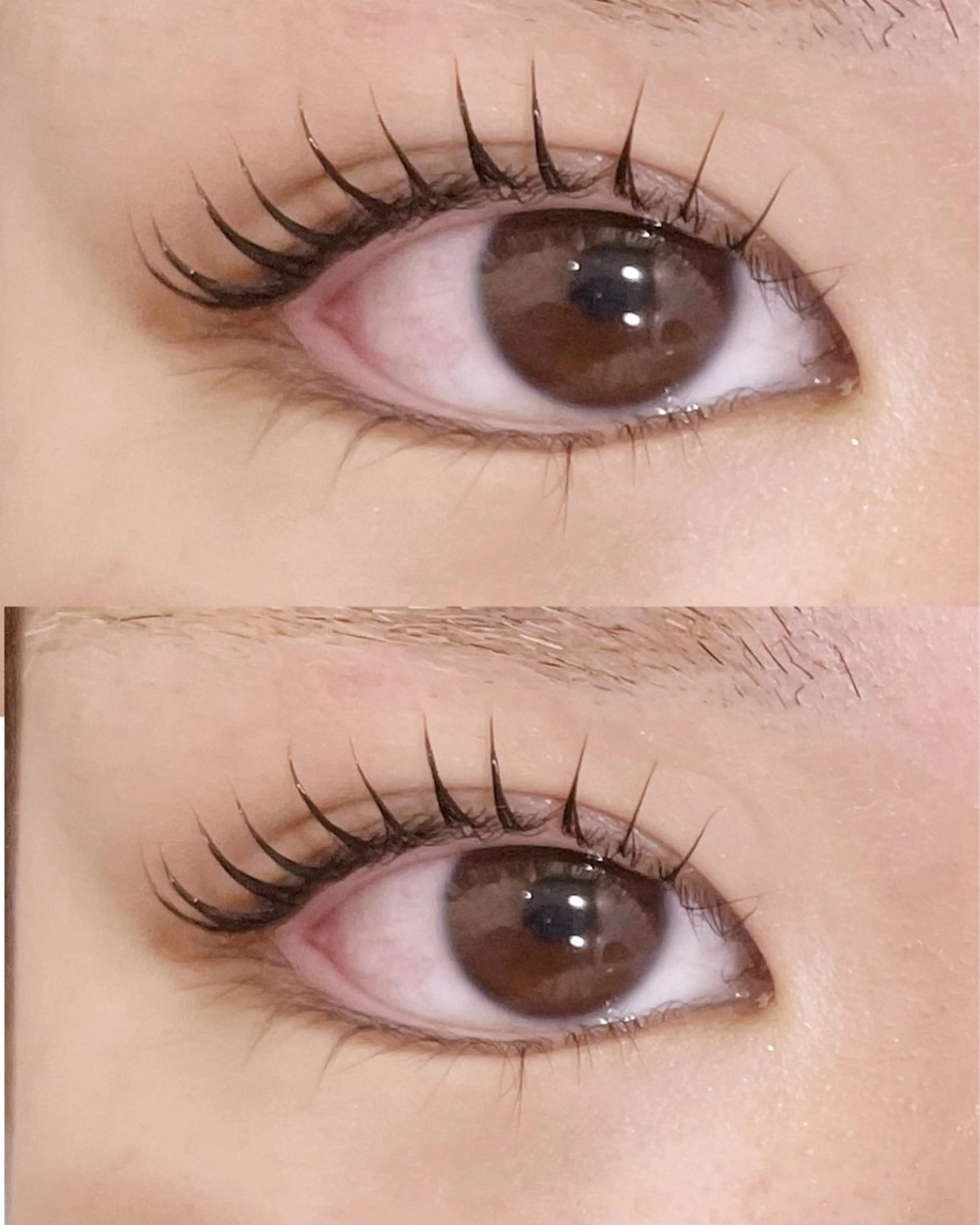 【Jr.アイリストデビュー記念🎉】✨まつげパーマ✨🪽韓国風コーティング束感仕上げ🪽の写真