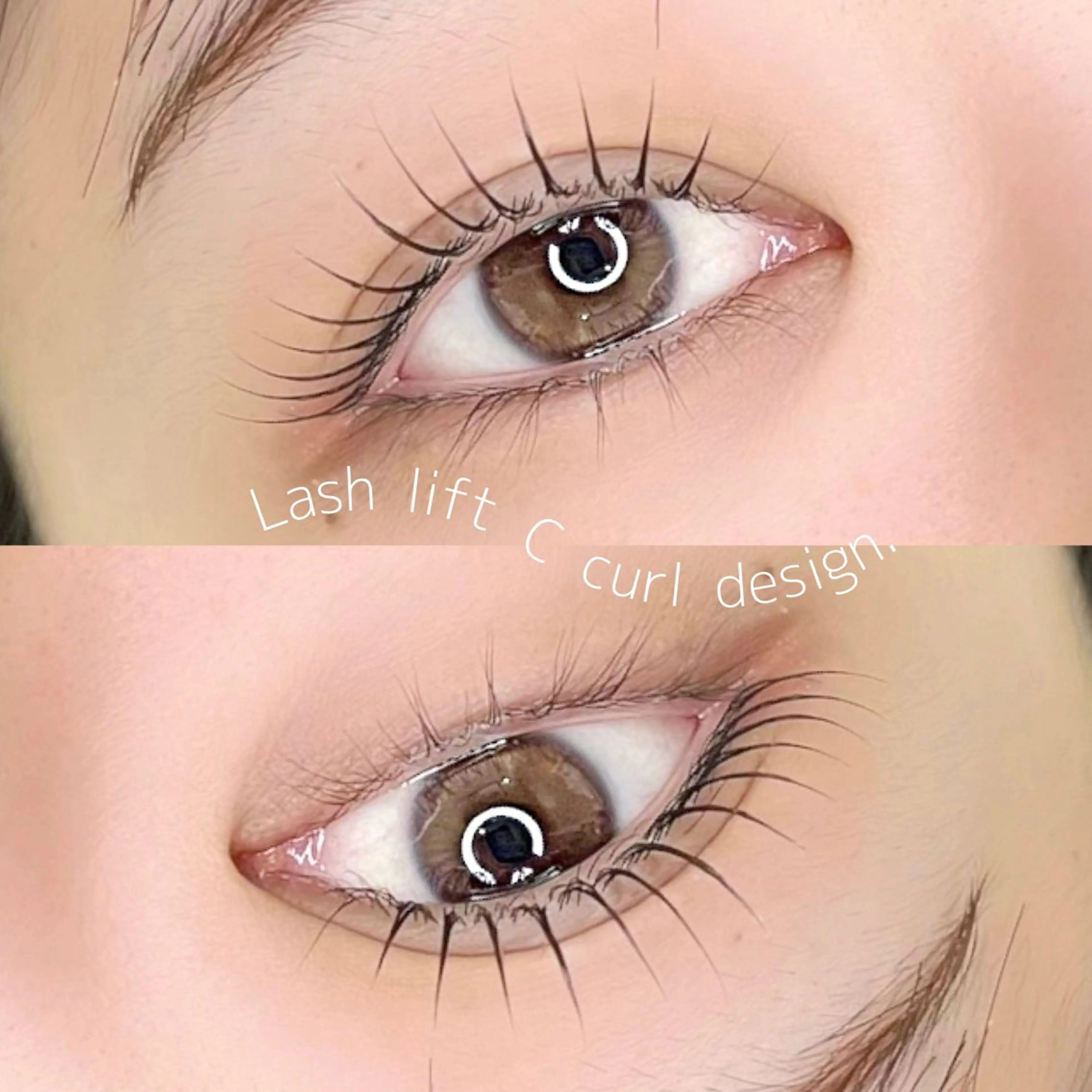 まつげパーマorパリジェンヌ＋アイシャンプー付の写真