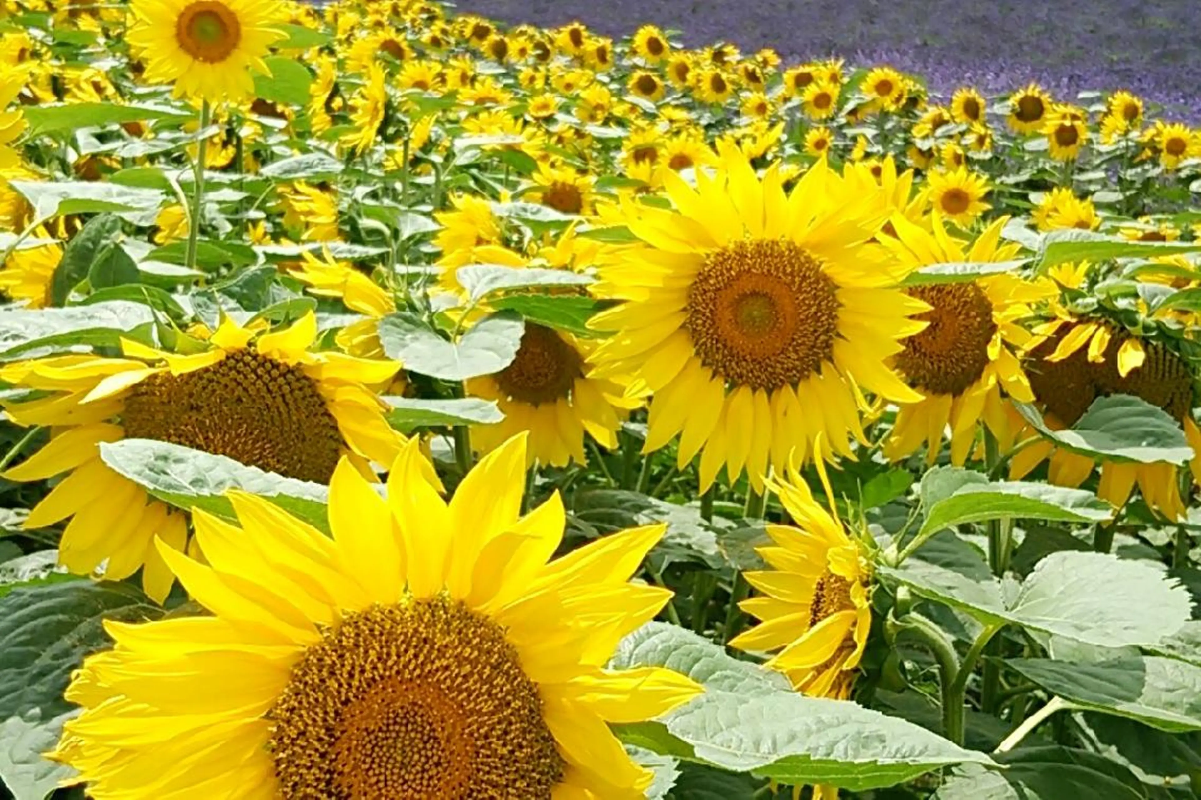 g*rossa高橋 くみこのエステ・リラクイメージ