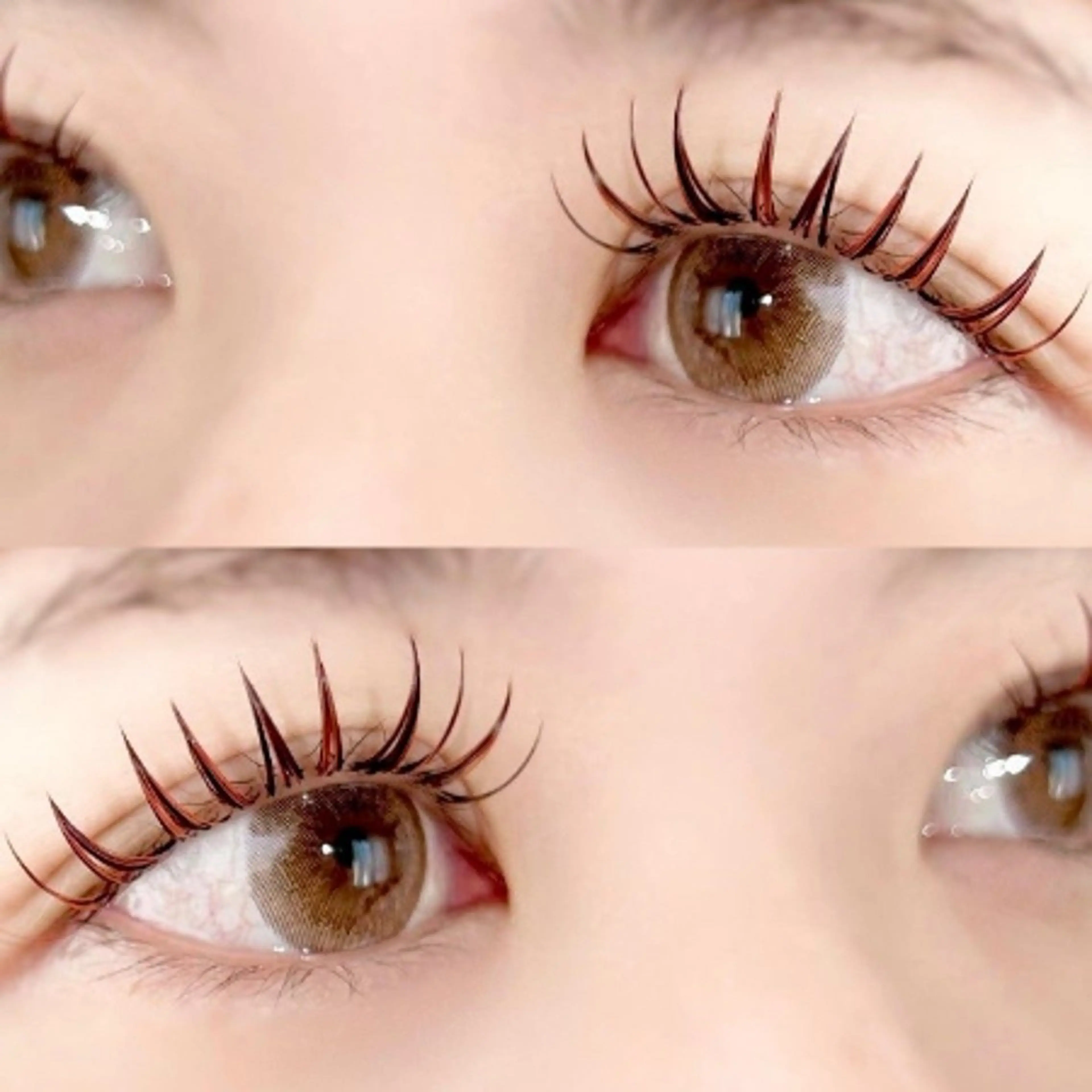 バインドロック60束の写真