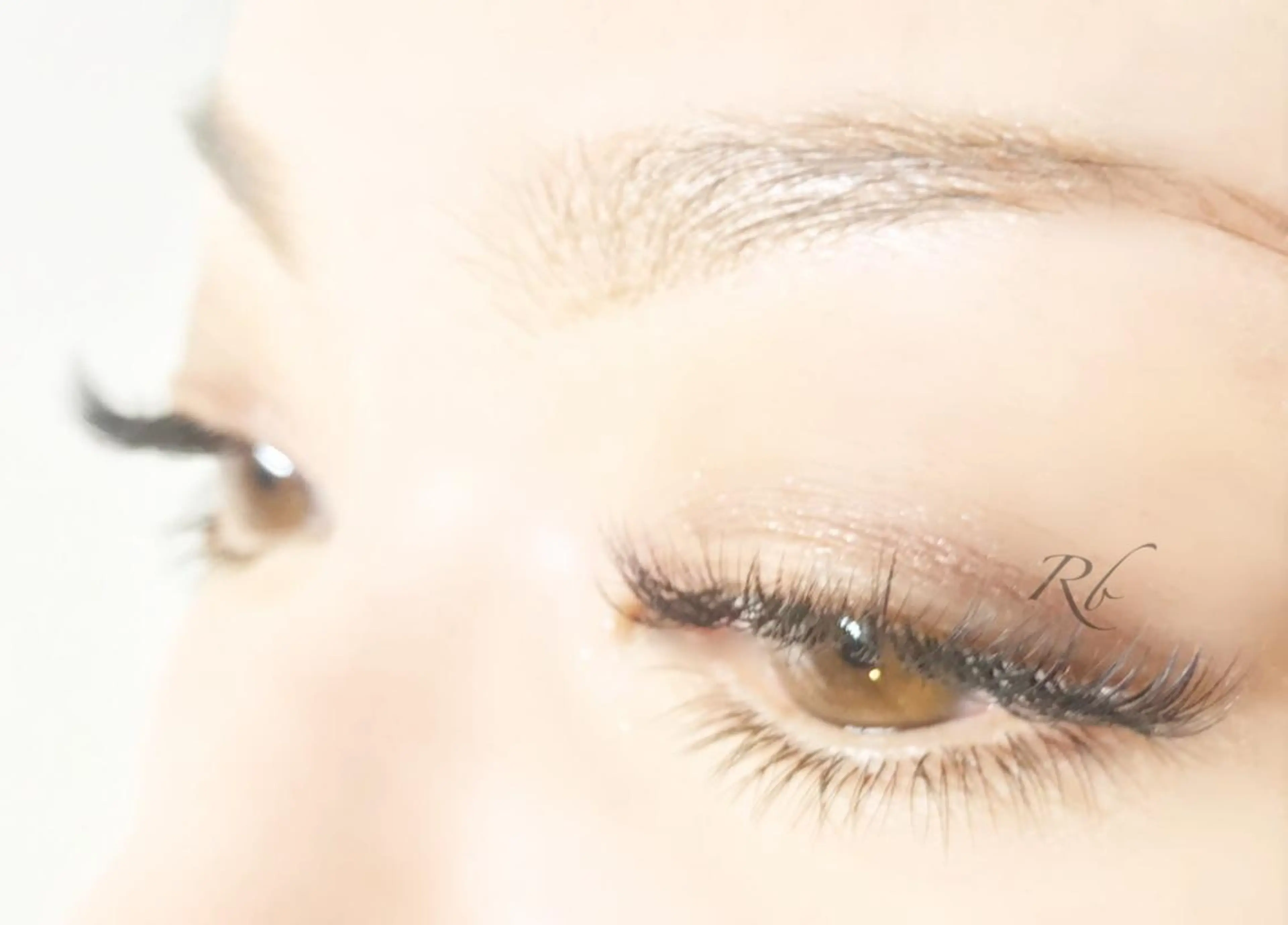 マツエク・マツパ 付け放題 下まつげエクステ eyelash- r🌹の眉毛・アイブロウイメージ