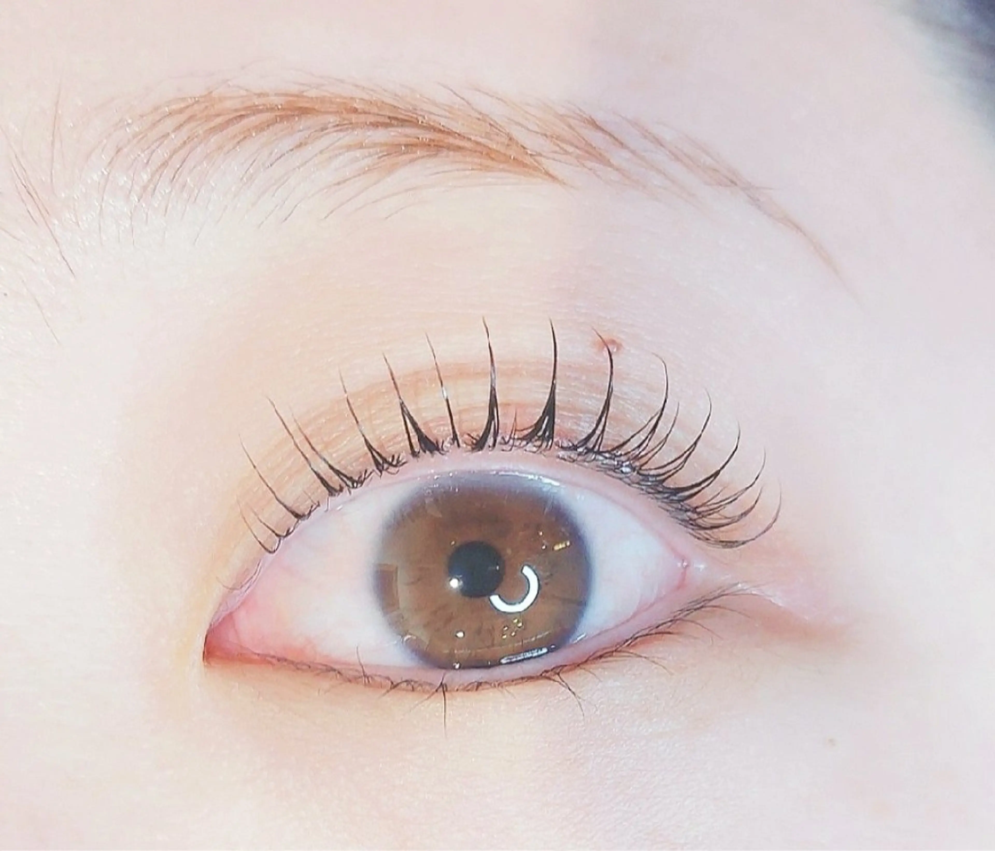 マツエク・マツパ HIRONO東山 /SAKIのマツエク・マツパデザイン