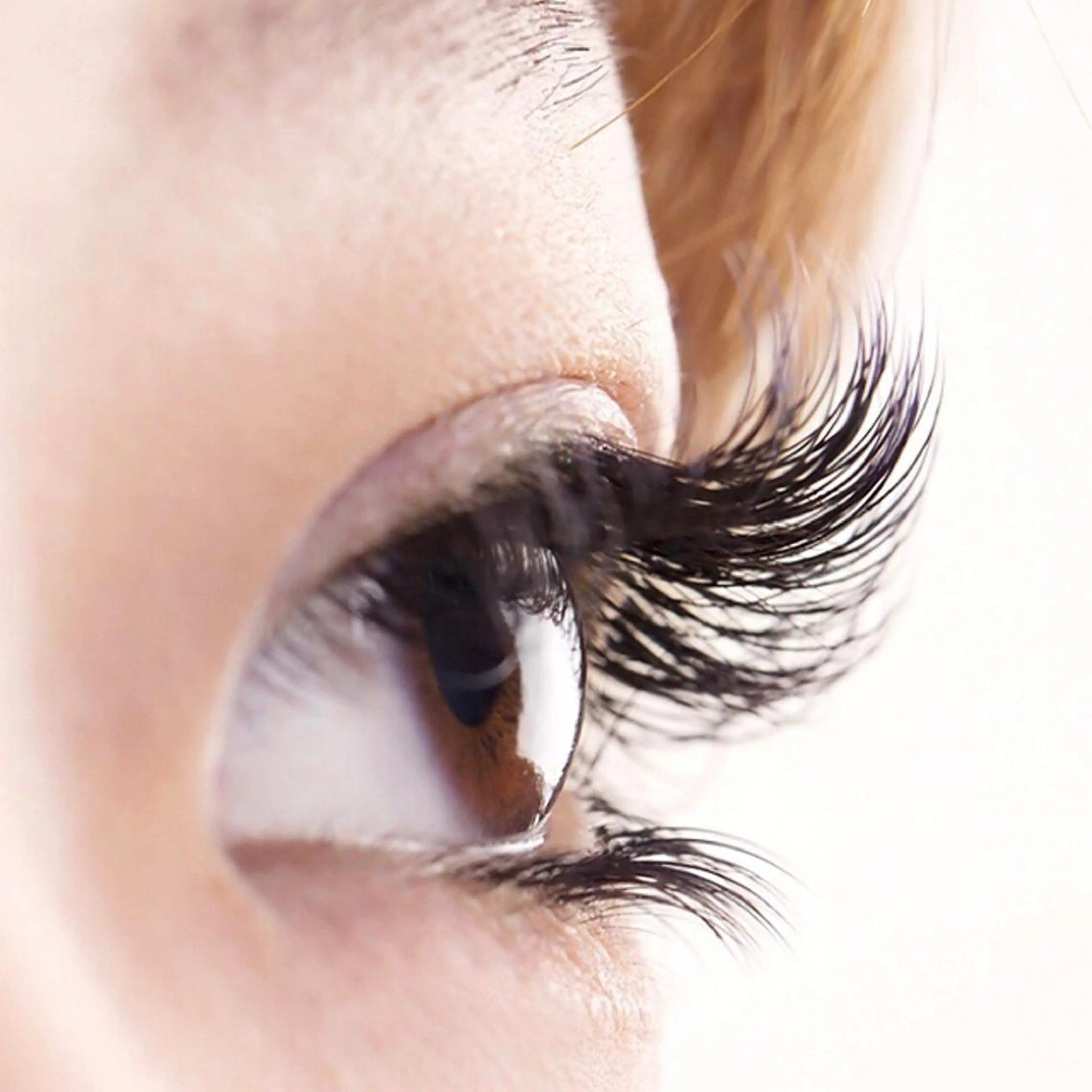 マツエク・マツパ Orange  Camelのマツエク・マツパデザイン