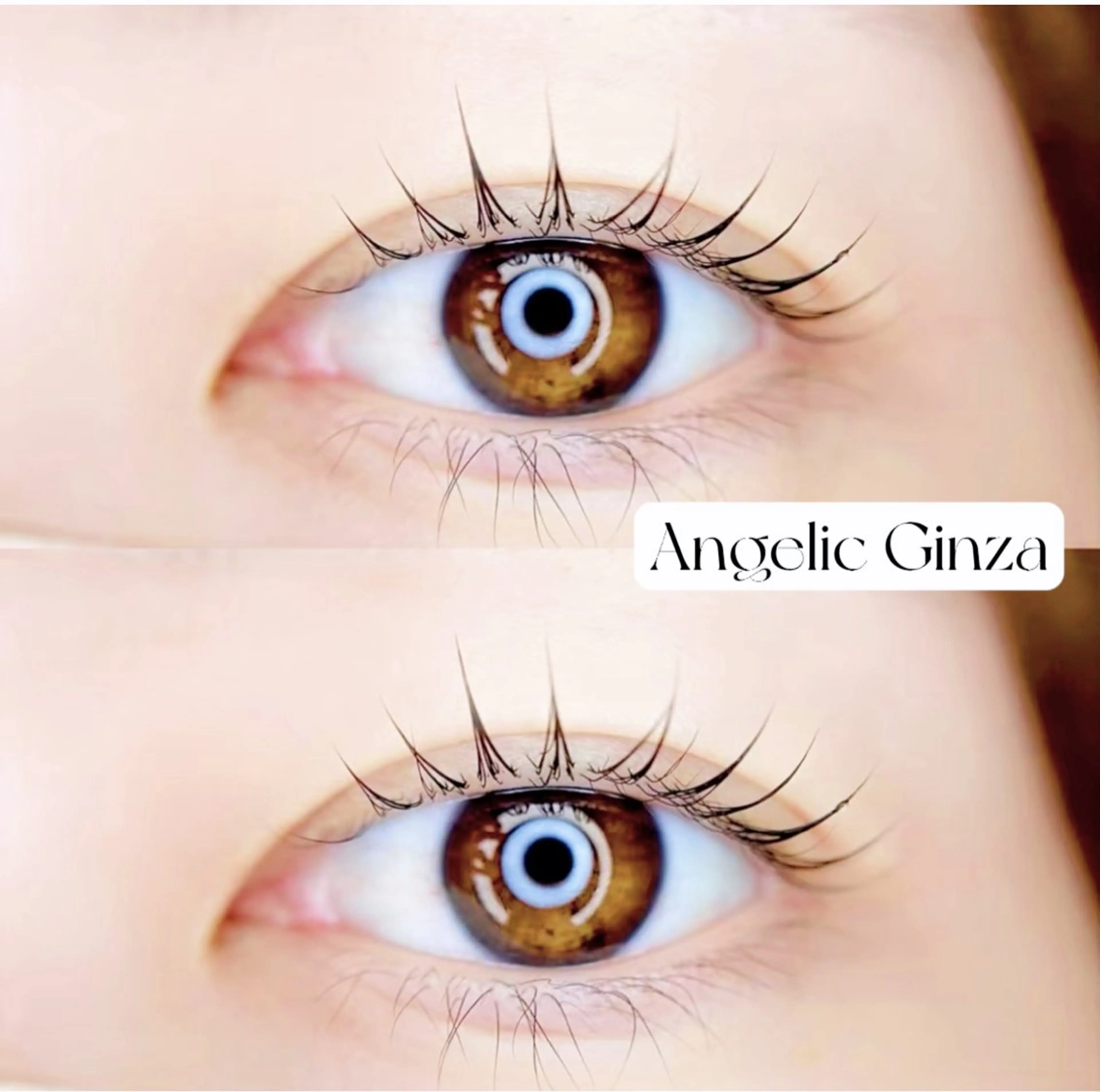 マツエク・マツパ Angelic Ginza♥🧸のマツエク・マツパデザイン