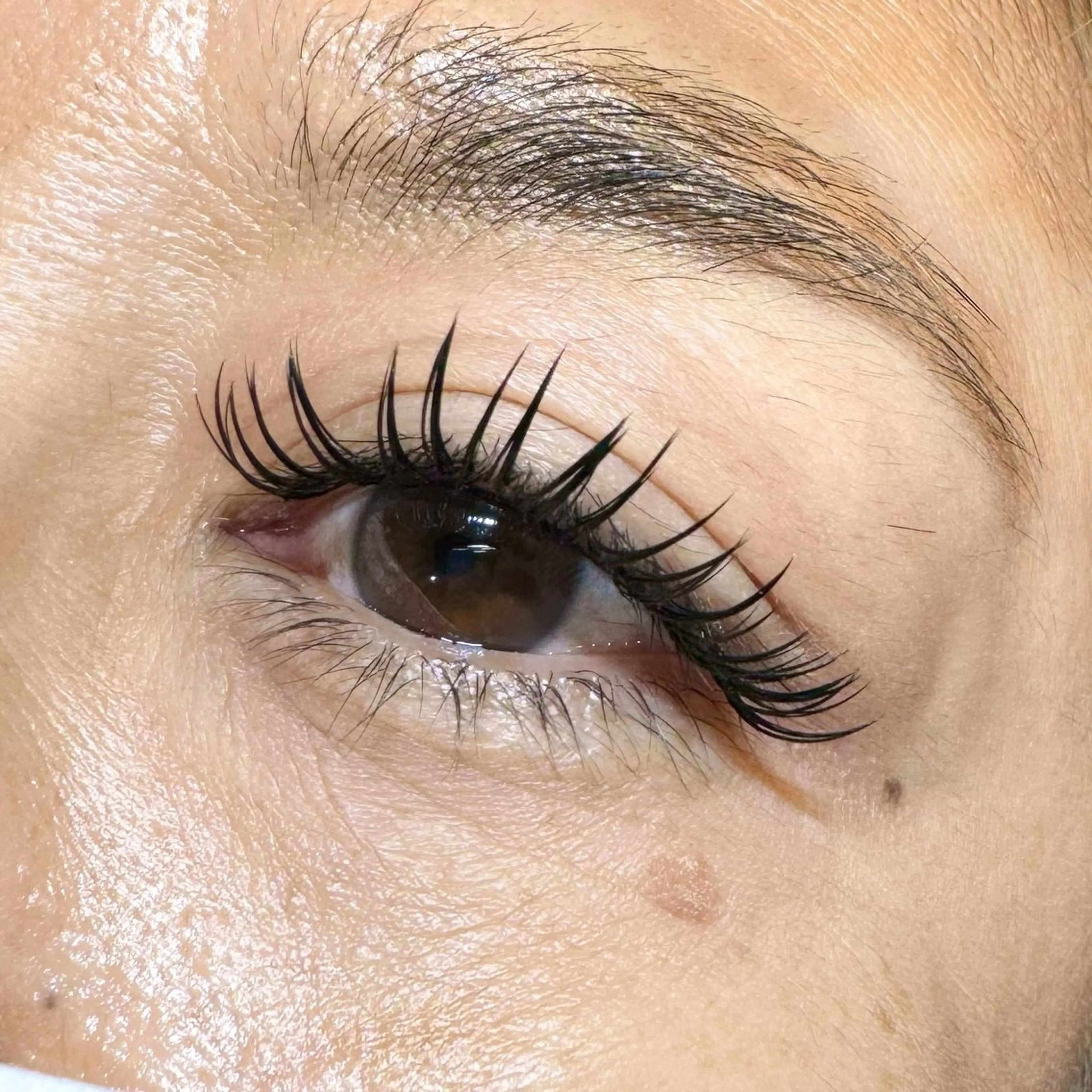 マツエク・マツパ つじもとなみ ALPINA阪神西宮のマツエク・マツパデザイン