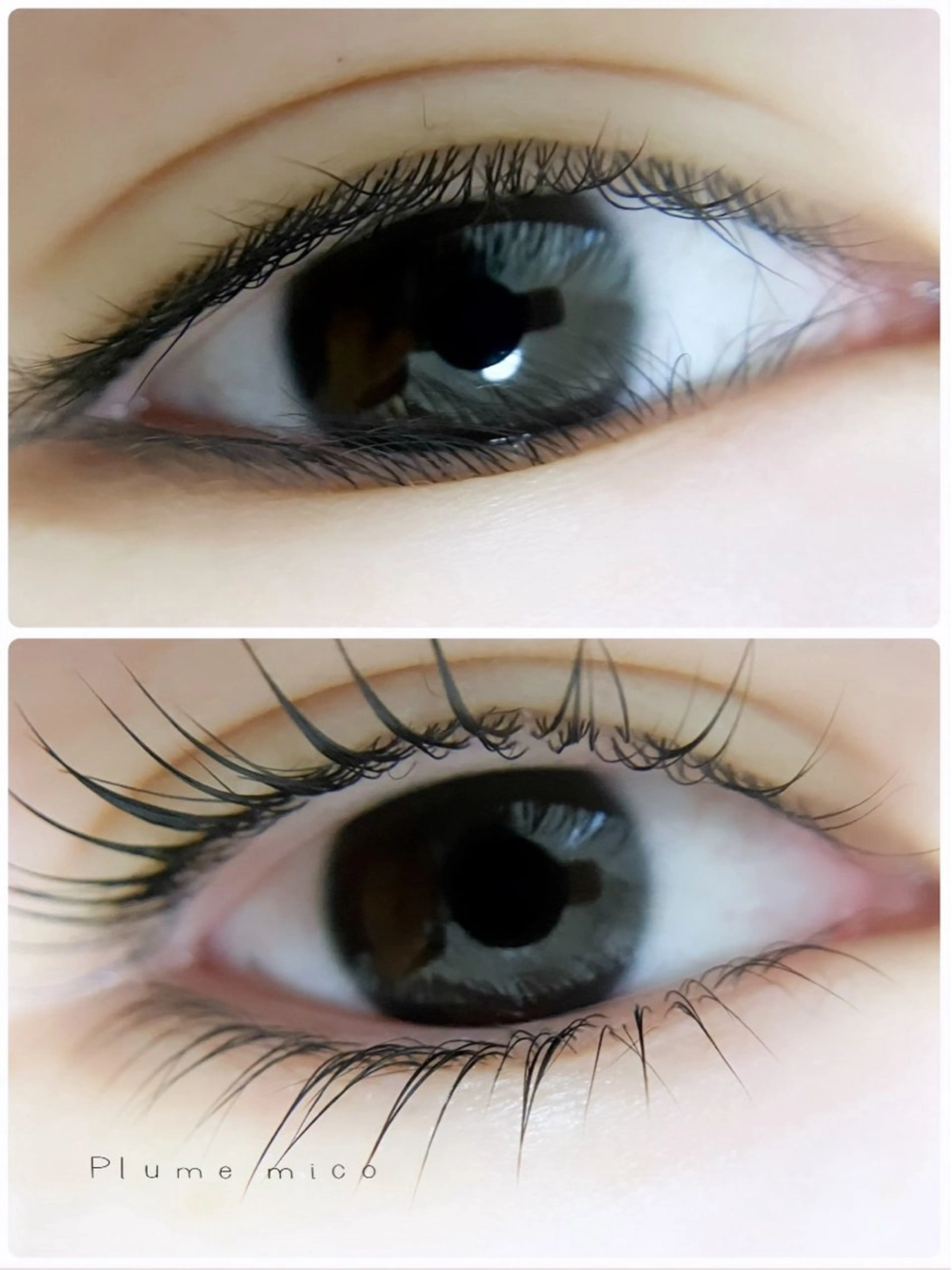 マツエク・マツパ マツパ Plume micoのマツエク・マツパデザイン