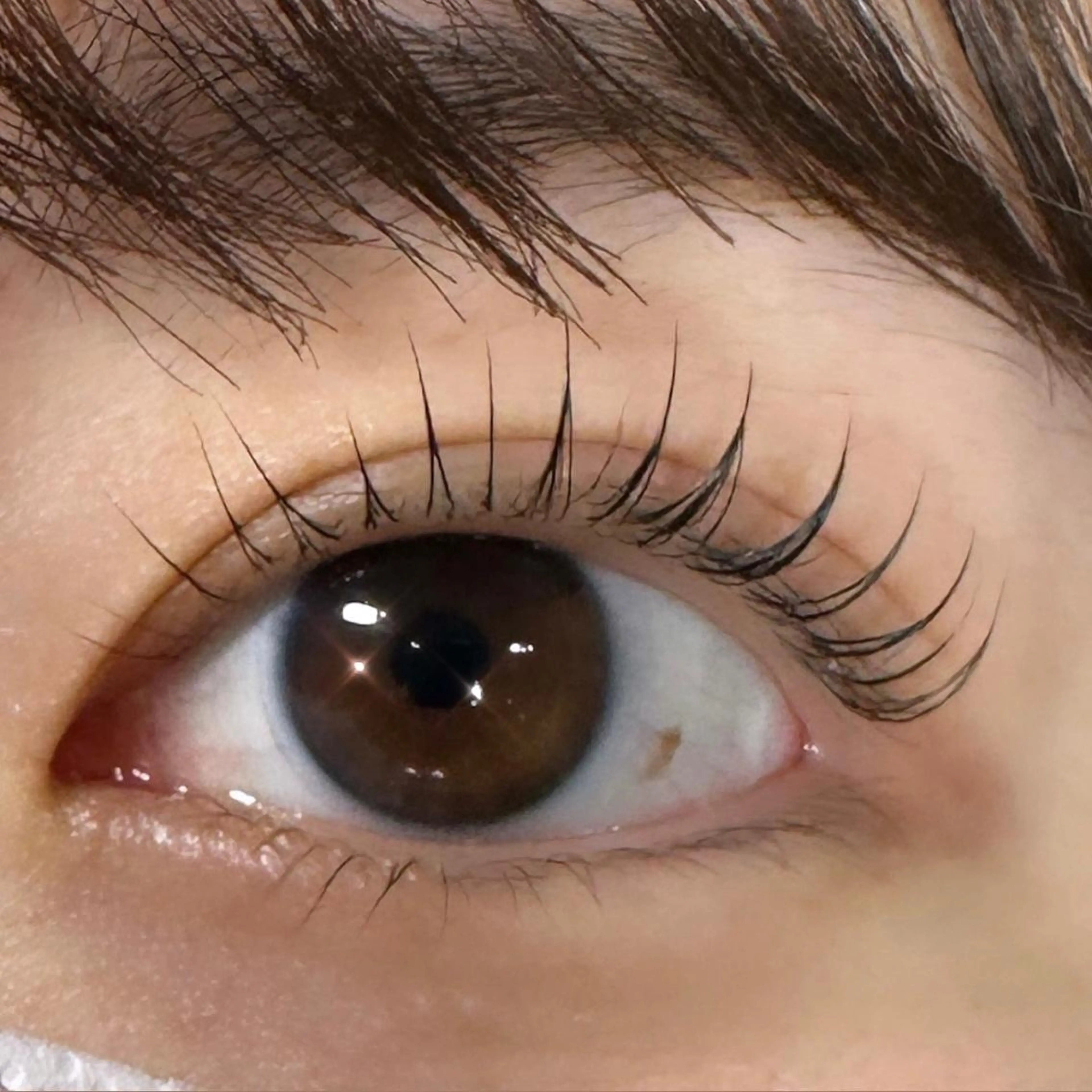 マツエク・マツパ マツパ 川畑🌻 アンジェリカ錦糸町のマツエク・マツパデザイン