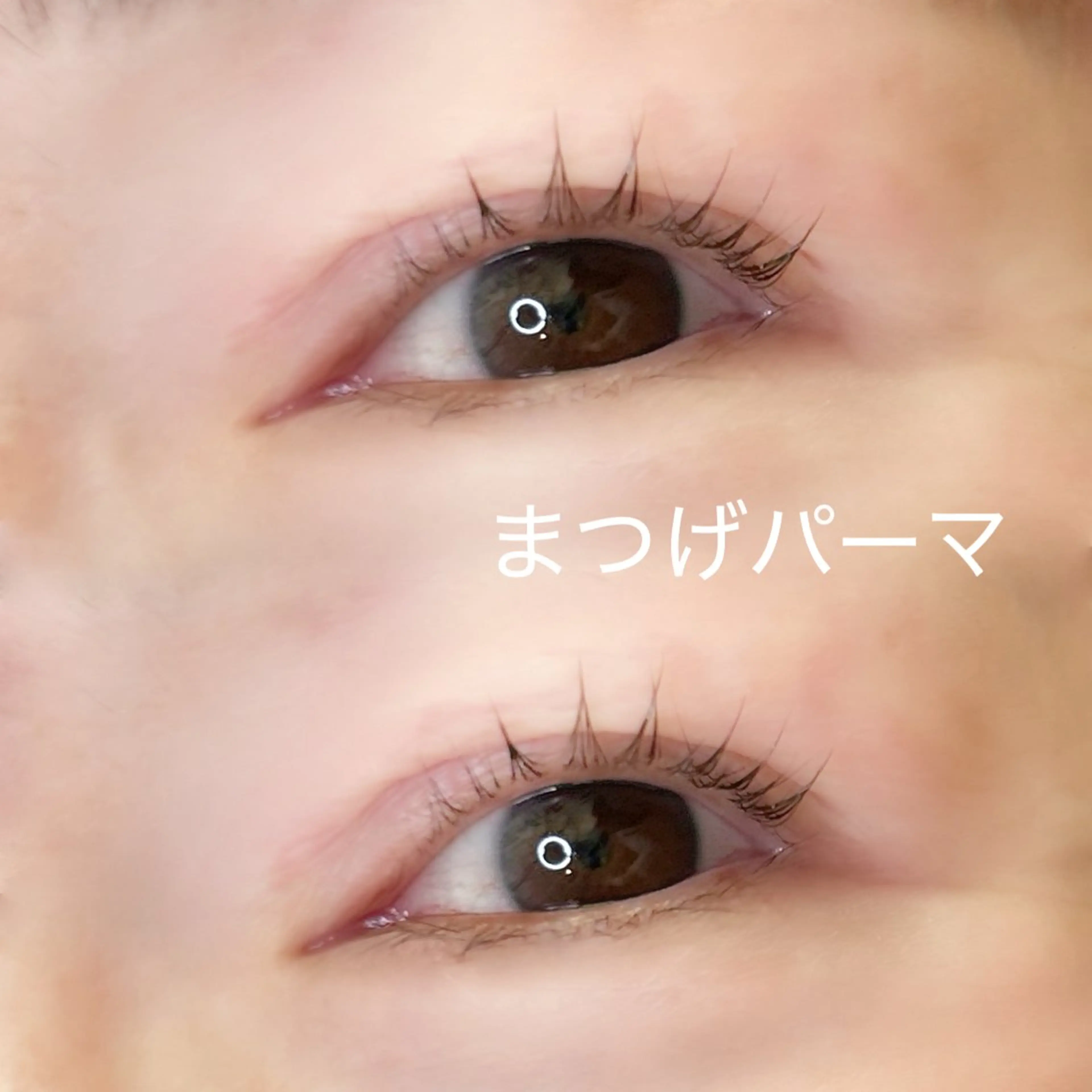 マツエク・マツパ パリジェンヌラッシュリフト まつげパーマ マツパ elua eyelashの眉毛・アイブロウイメージ