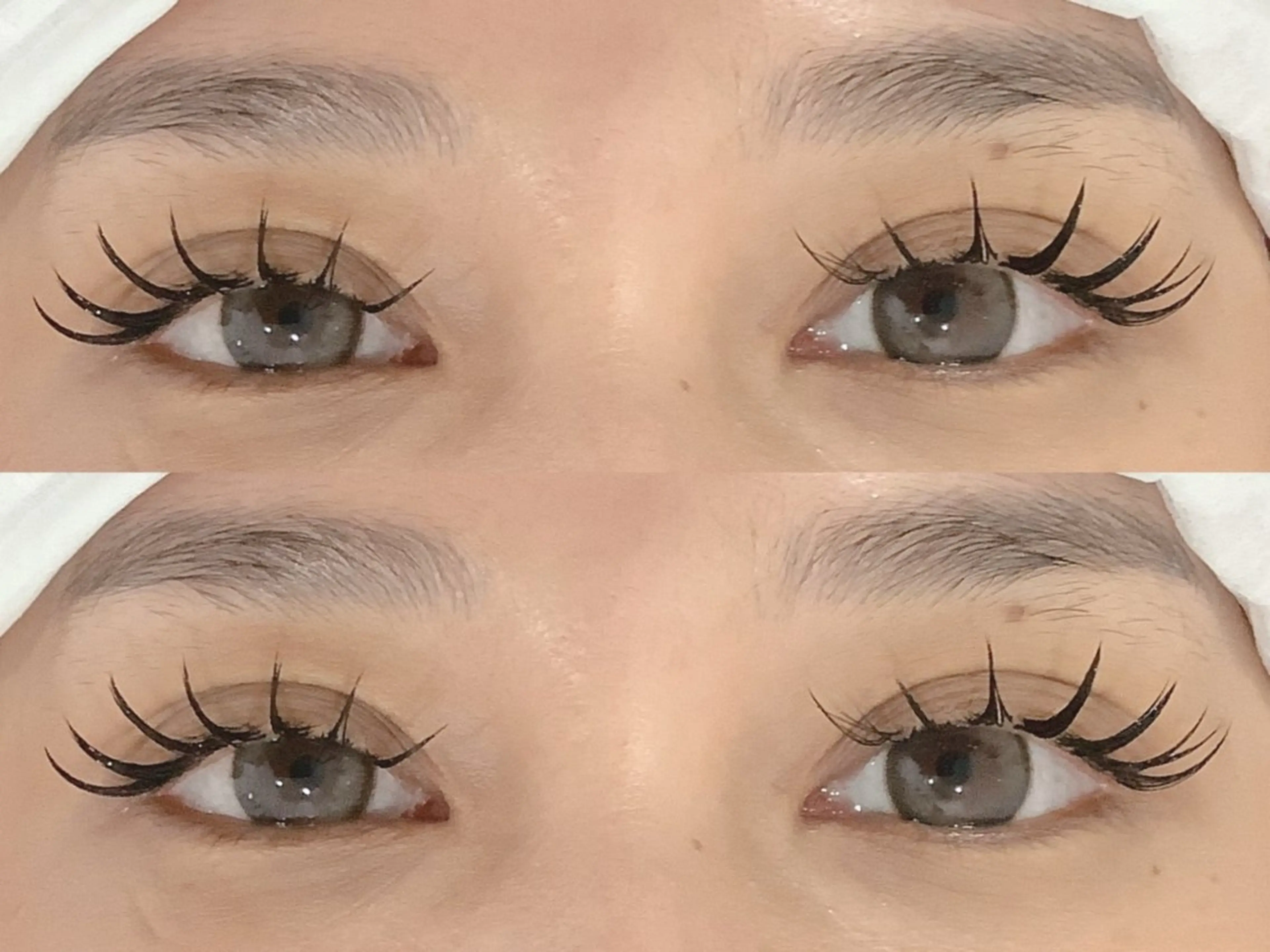 平日限定🌈LED×フラットラッシュ150本¥5550の写真