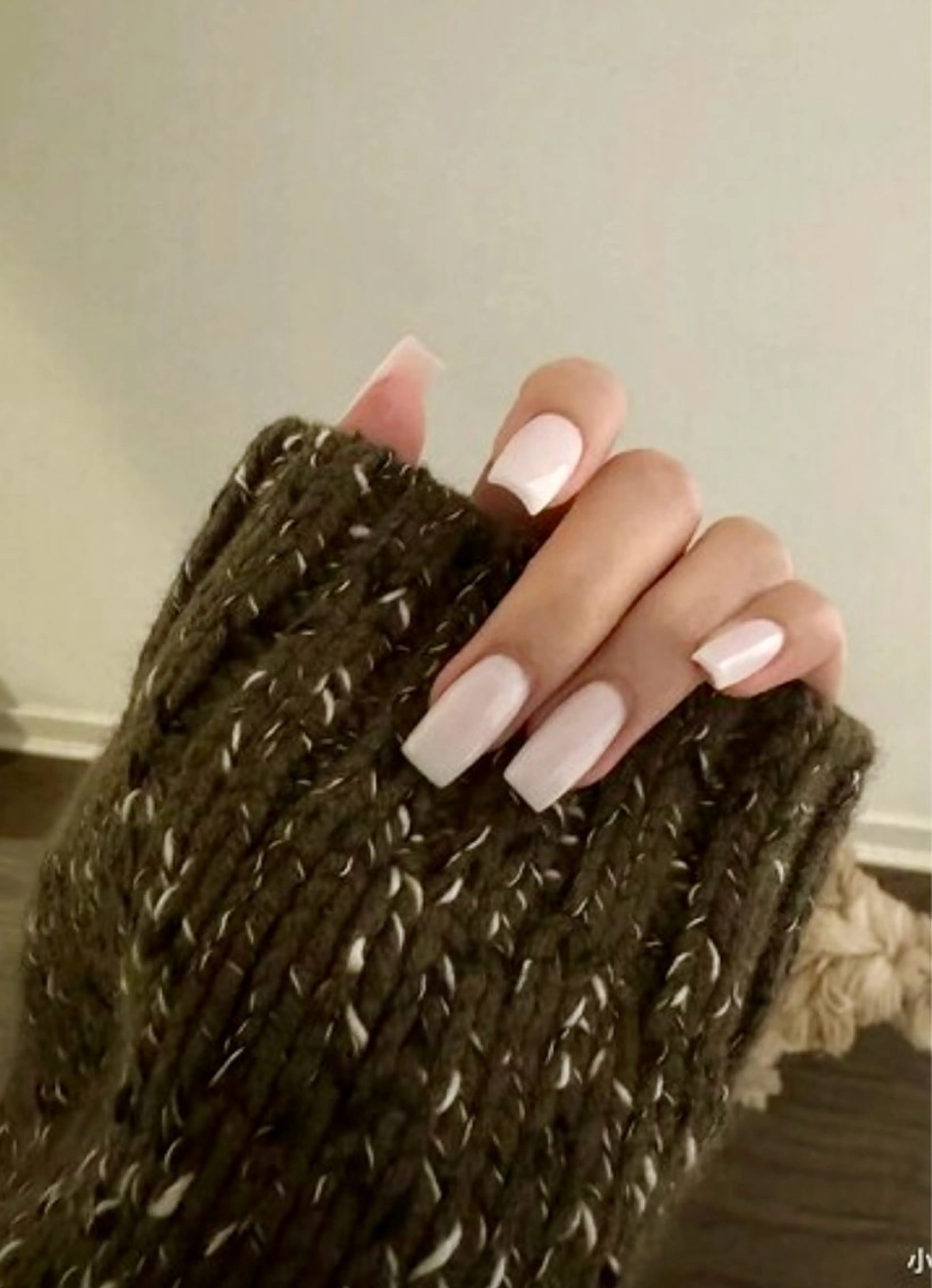 ワンカラーorマグネットの写真