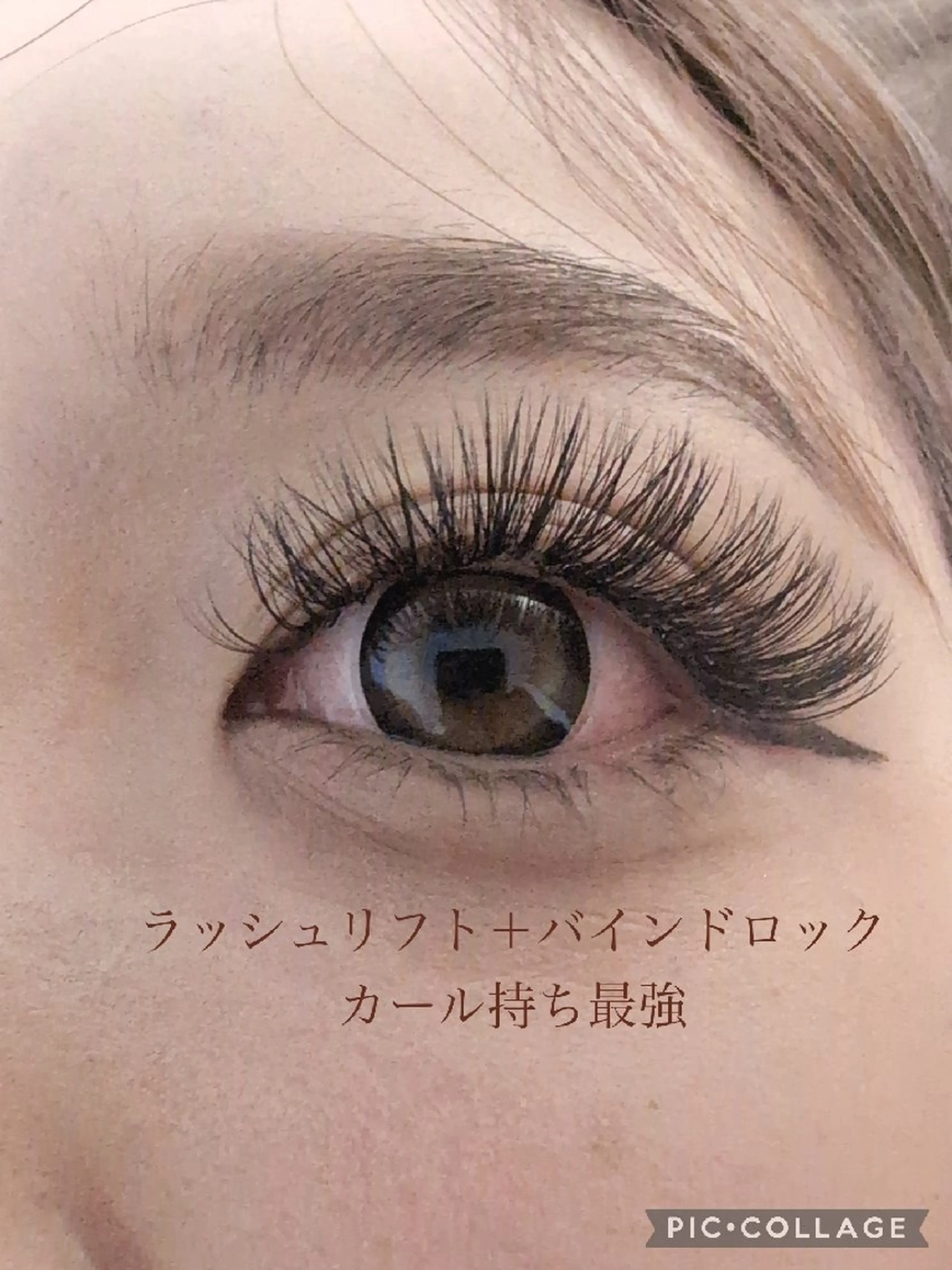 バインドロック　140束　オフ込みの写真