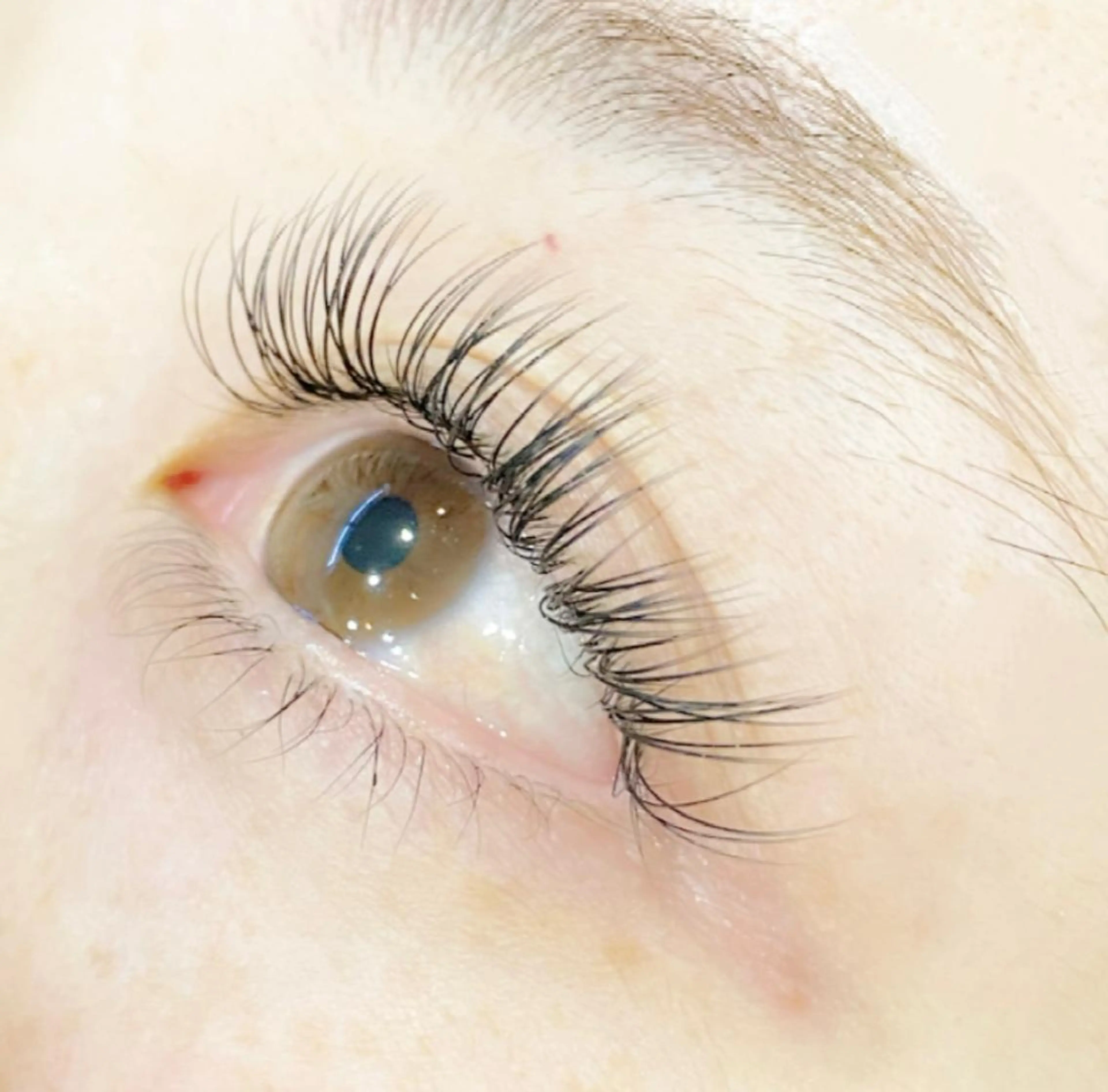 マツエク・マツパ 付け放題 フラットラッシュ PROGRESS 龍ヶ崎 小泉🦋のマツエク・マツパデザイン