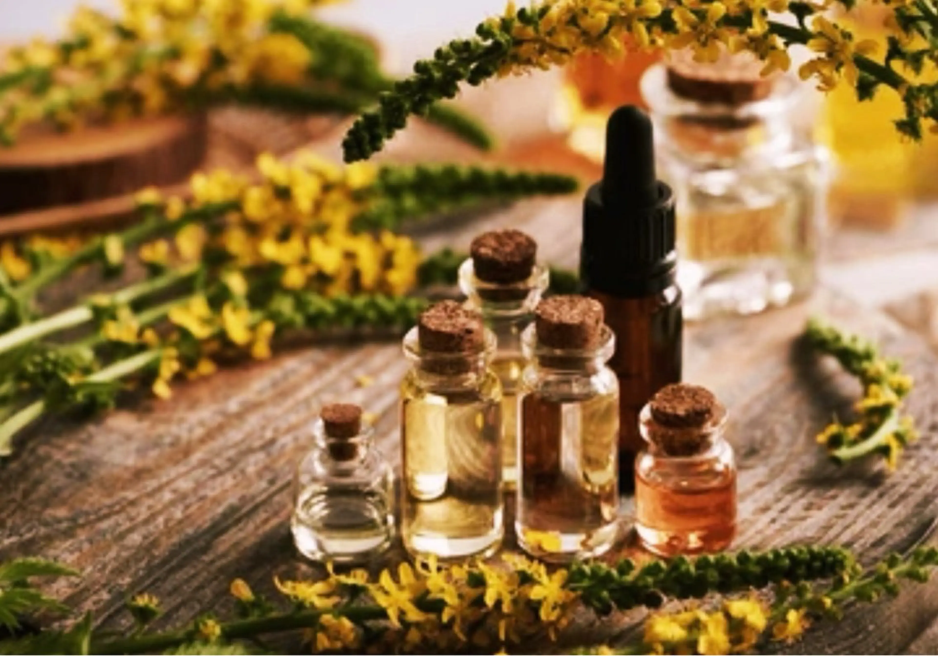 AM＋（アムプラス）所属・𝐀𝐌+袖ヶ浦店 ___𝐀𝐘𝐀.のエステ・リラクイメージ