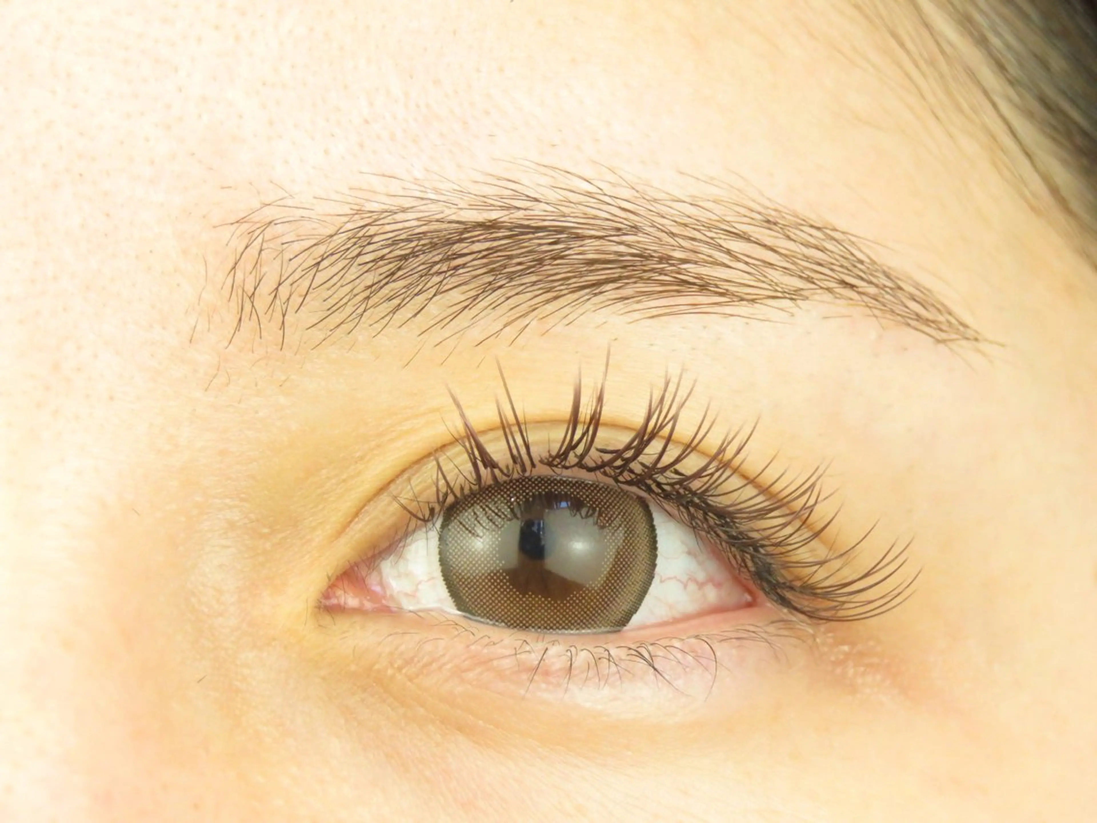 🐻❄️🍓セーブル80本🍓🐻❄️¥4580の写真