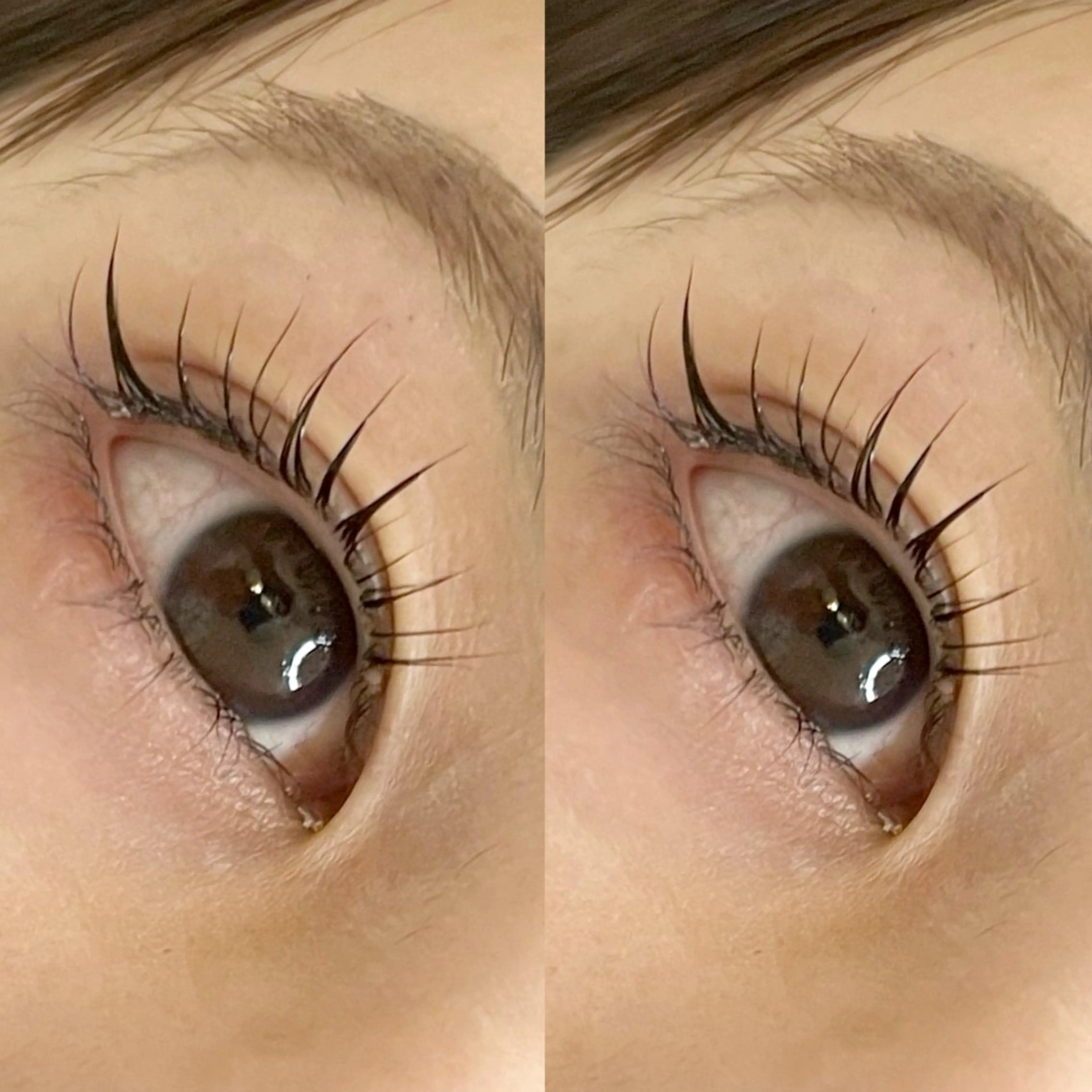 マツエク・マツパ マツパ STELLA ステラのマツエク・マツパデザイン