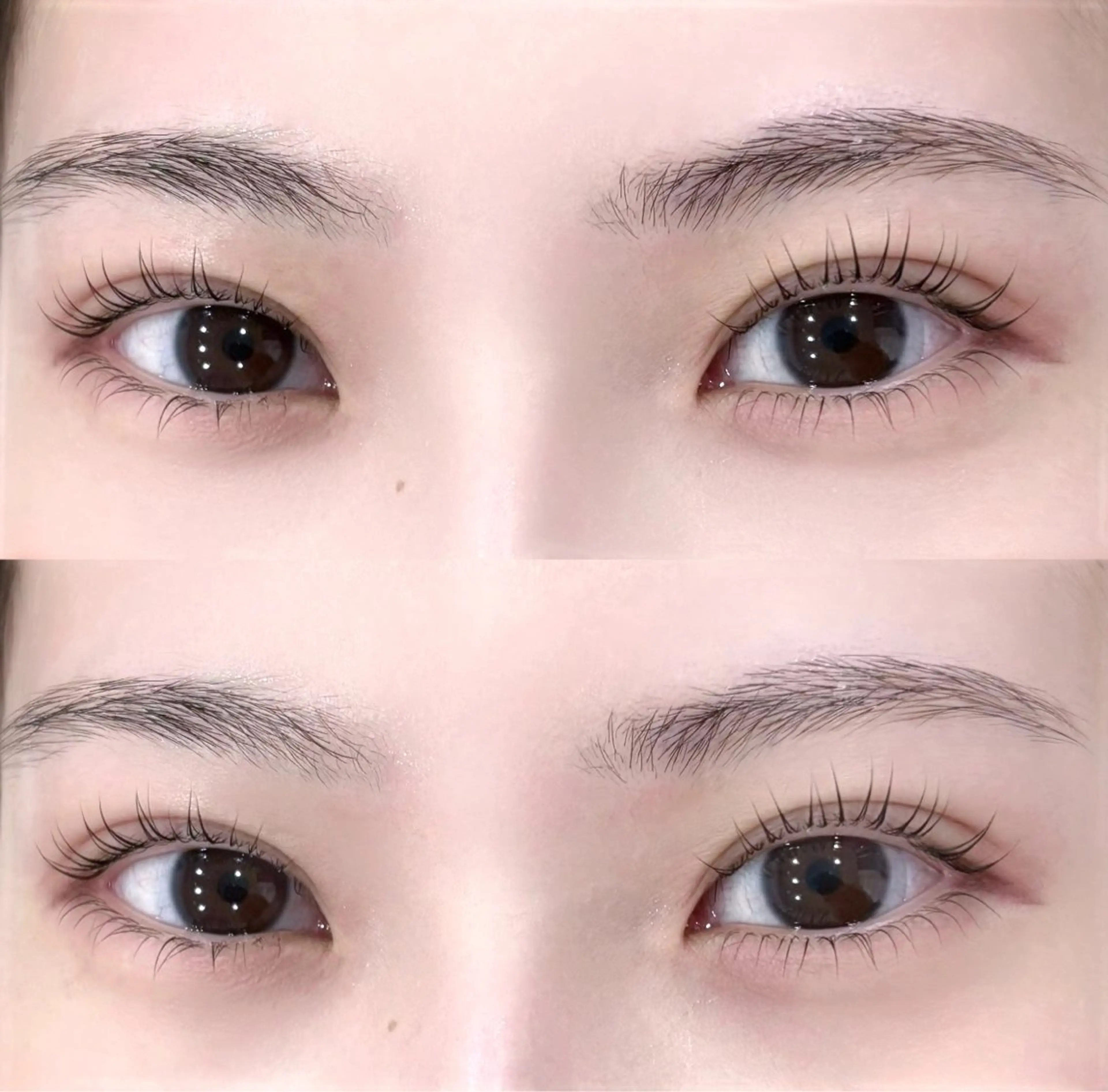 マツエク・マツパ まつげパーマ 下まつげエクステ マツパ eyelash mimi🩶の眉毛・アイブロウイメージ