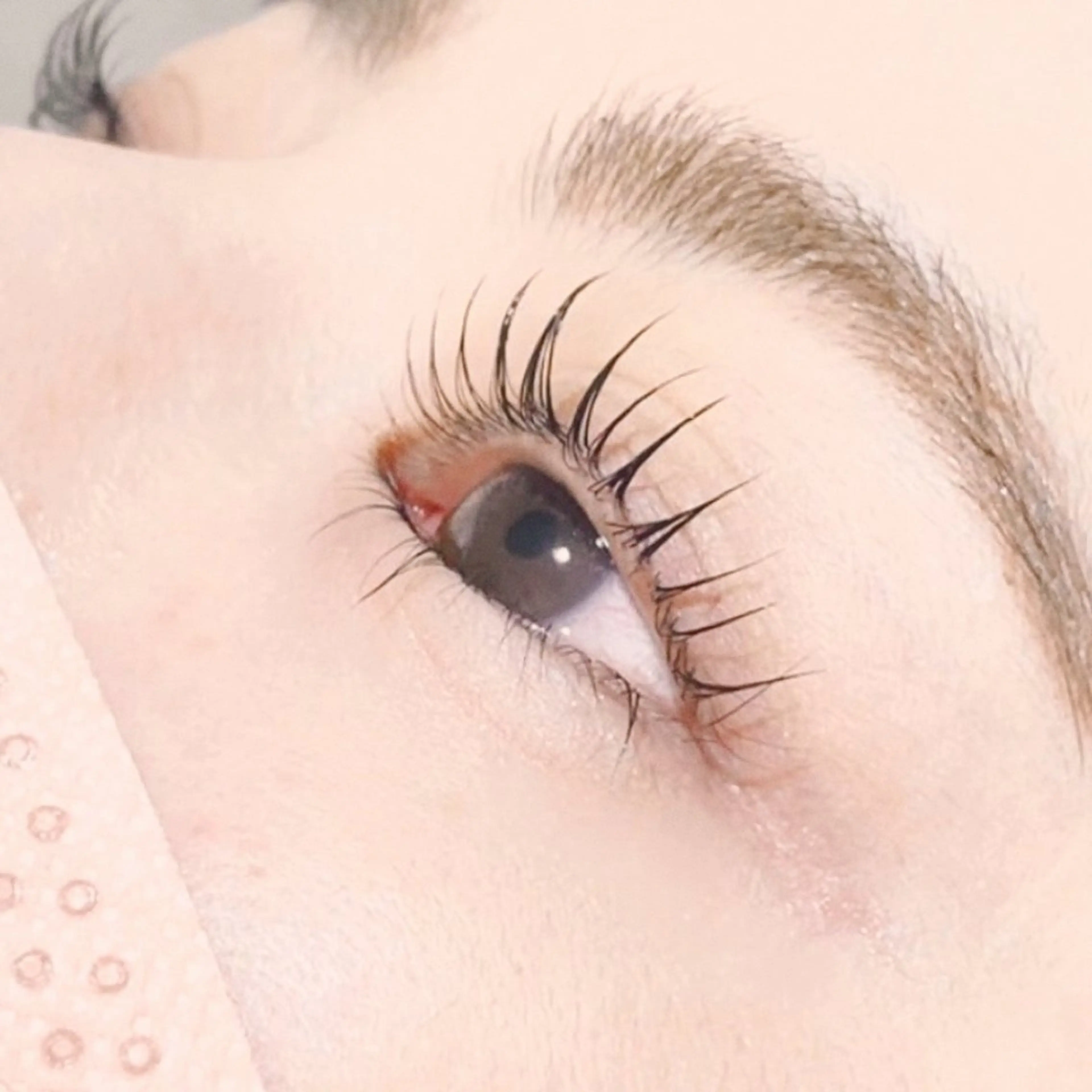 マツエク・マツパ パリジェンヌラッシュリフト マツパ eyelist 馬場のマツエク・マツパデザイン