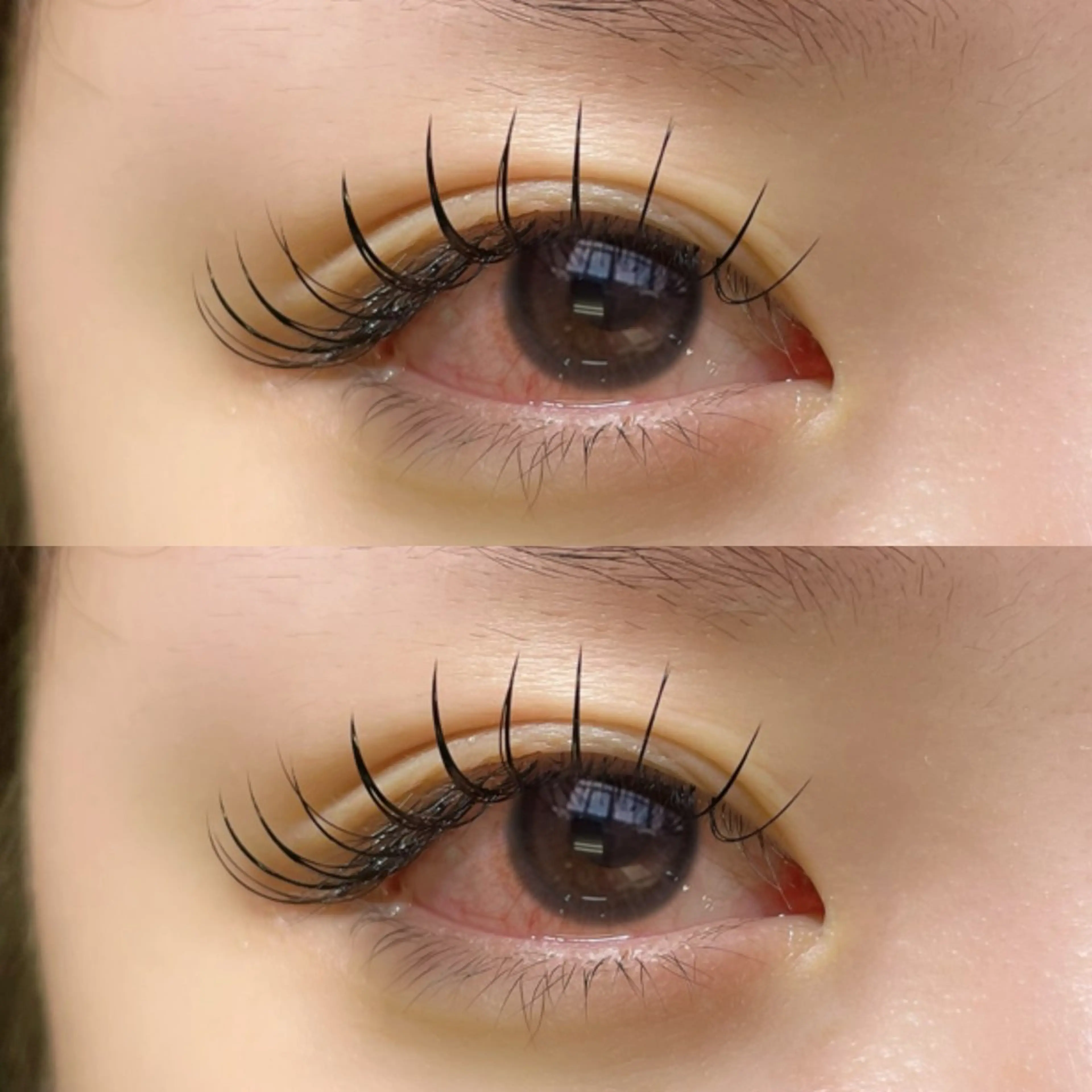 マツエク・マツパ マツエク リフュージュ　隠れ家所属・リフュージュ🌷 カホのマツエク・マツパデザイン