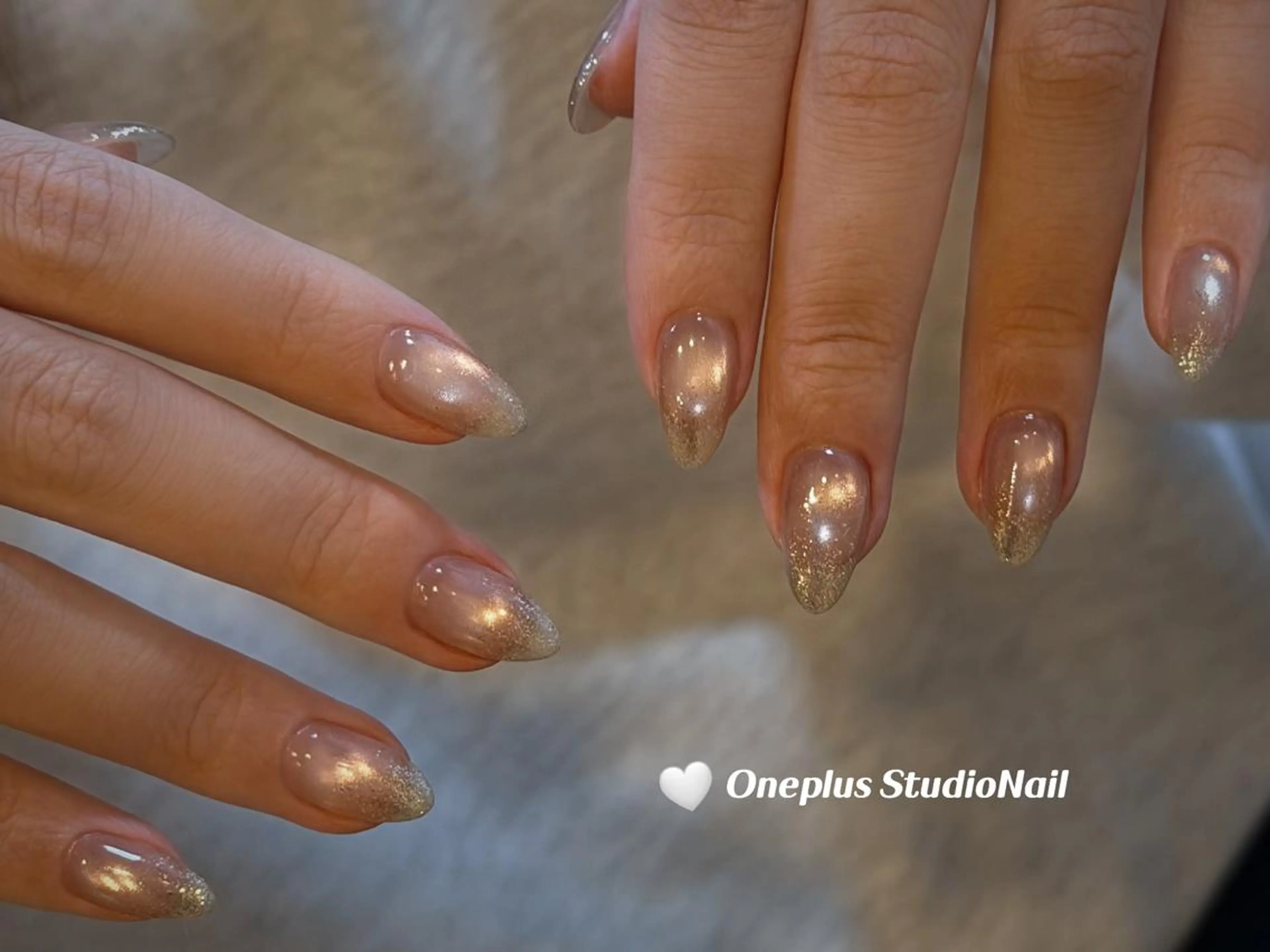 ネイル アニマル柄 ボルドー ブラウン フレンチネイル マグネットネイル One plus StudioNailのネイルデザイン