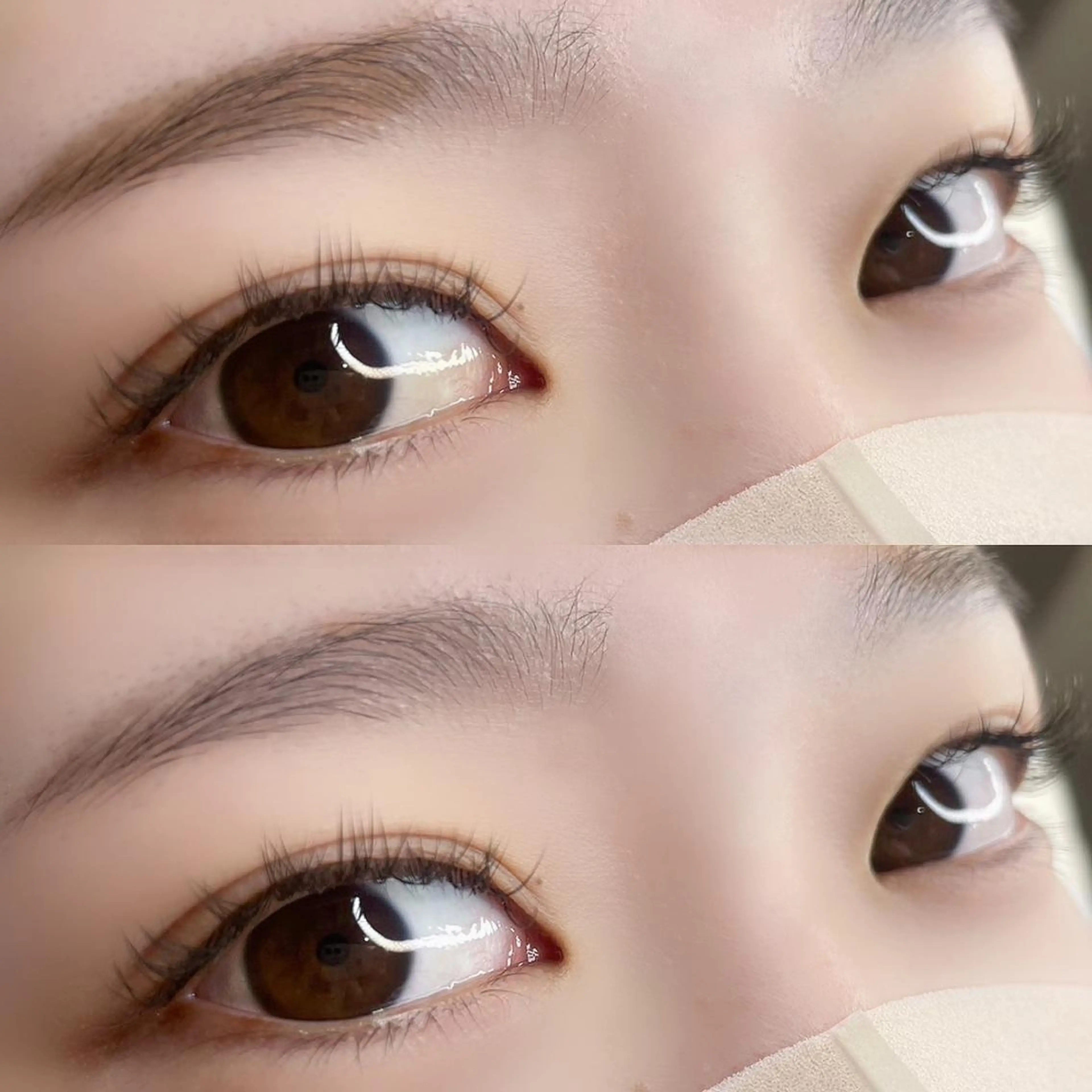 ãããšã¯ã»ããã ðŒðððïŒ Maayaã®ãããšã¯ã»ããããã¶ã€ã³