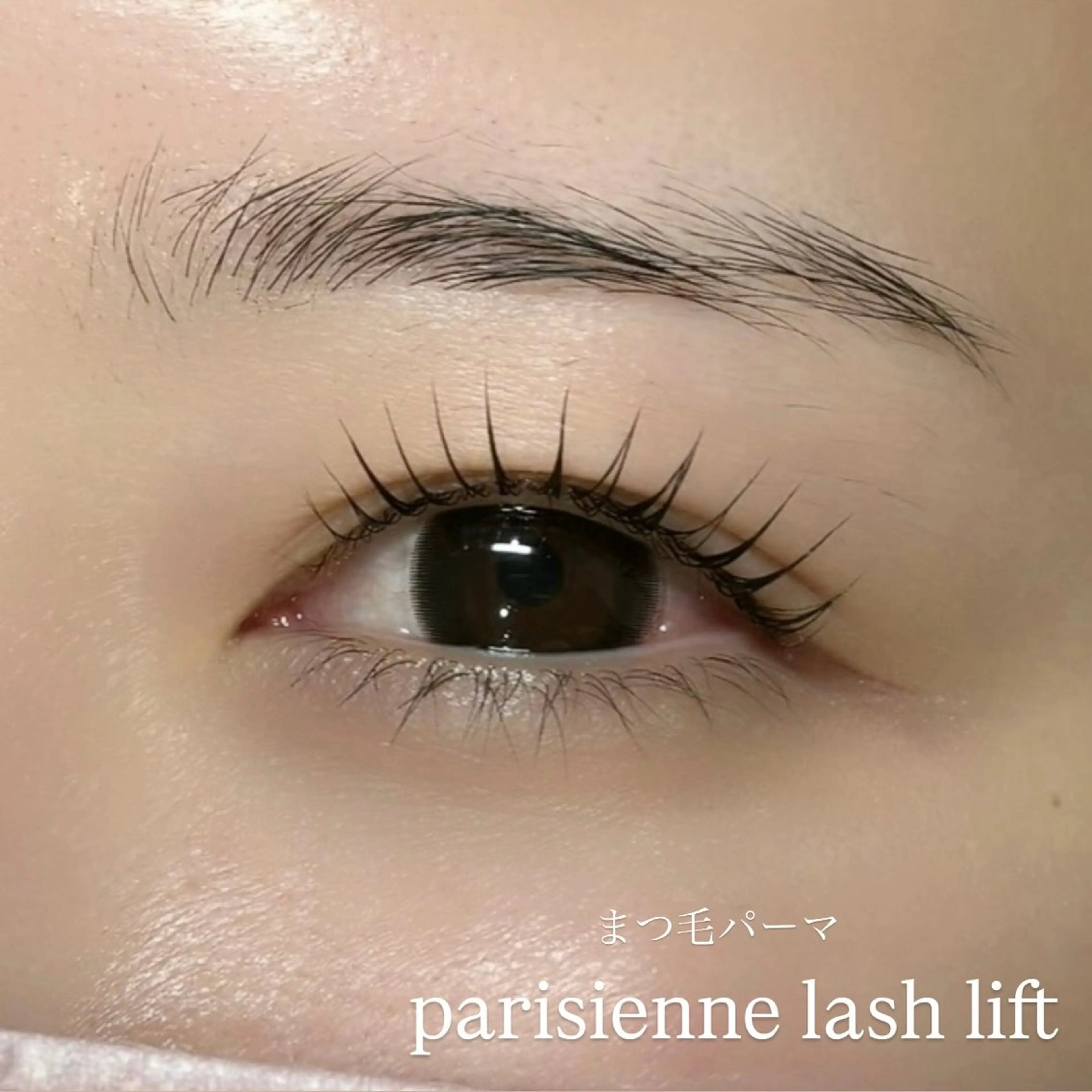 マツエク・マツパ マツパ Veil ayakaのマツエク・マツパデザイン